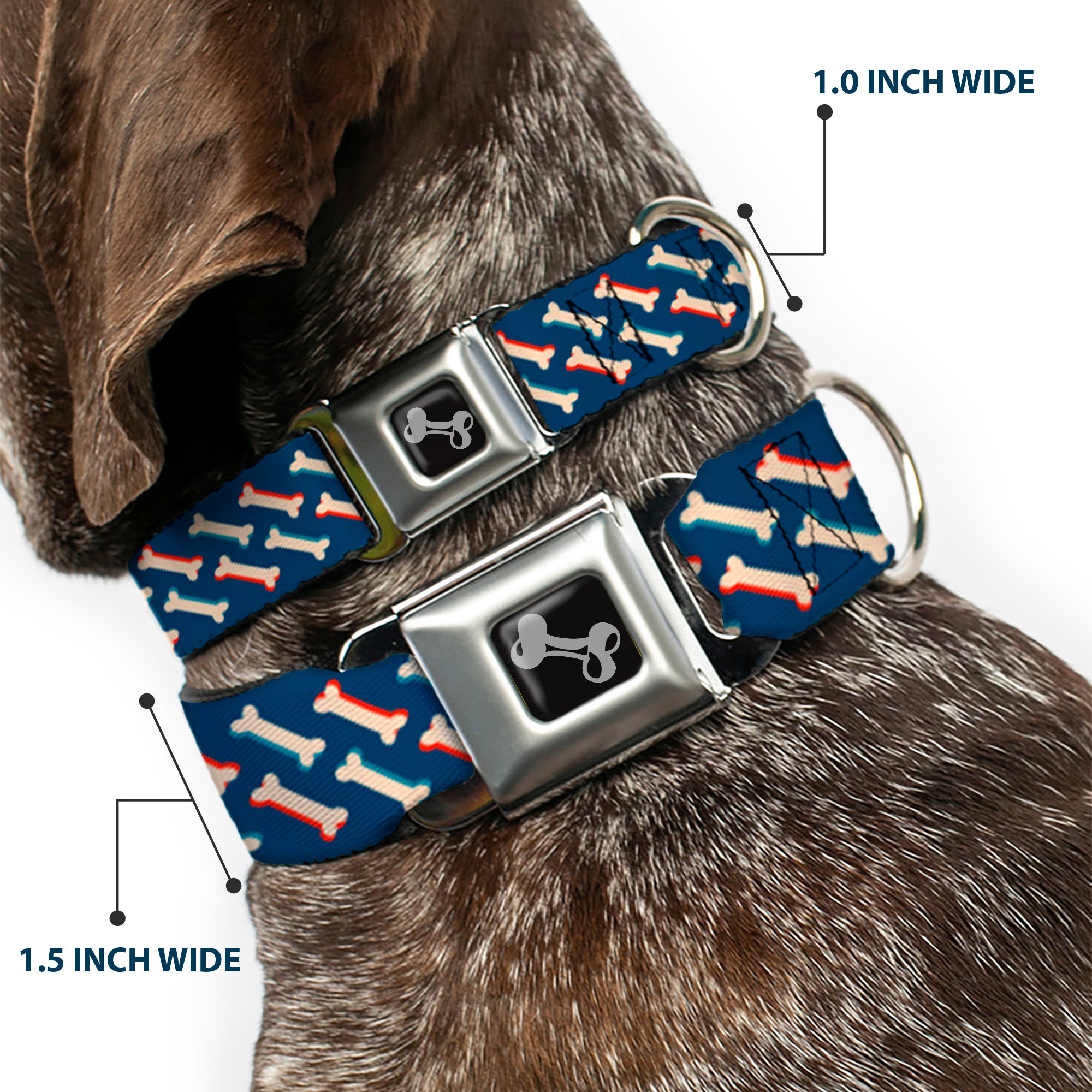Dog Bone Seatbelt Buckle Collar - Bones Blue/Tan/Red Seatbelt Buckle Collars Buckle-Down