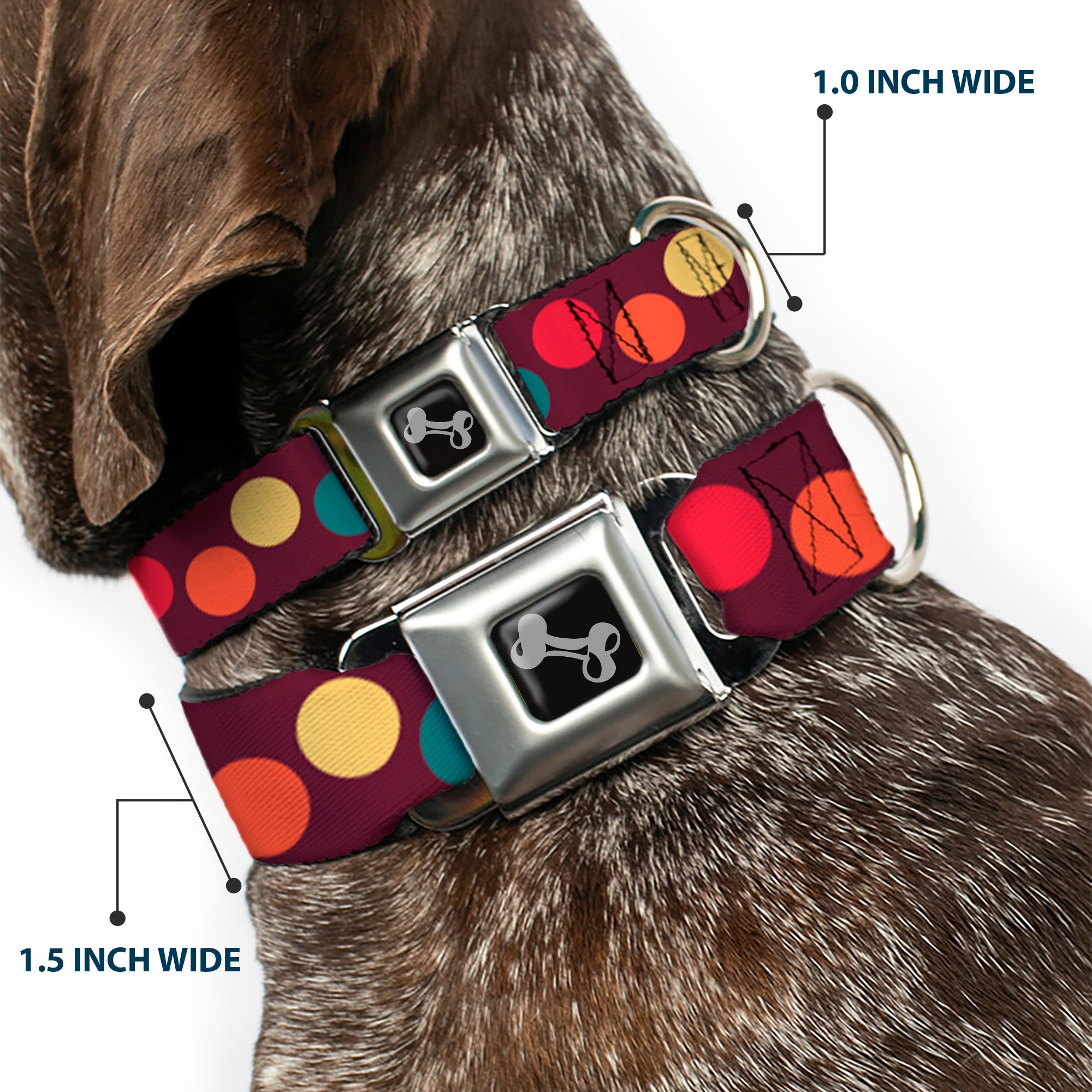 Dog Bone Seatbelt Buckle Collar - Big Dots Purple/Multi Pastel Seatbelt Buckle Collars Buckle-Down