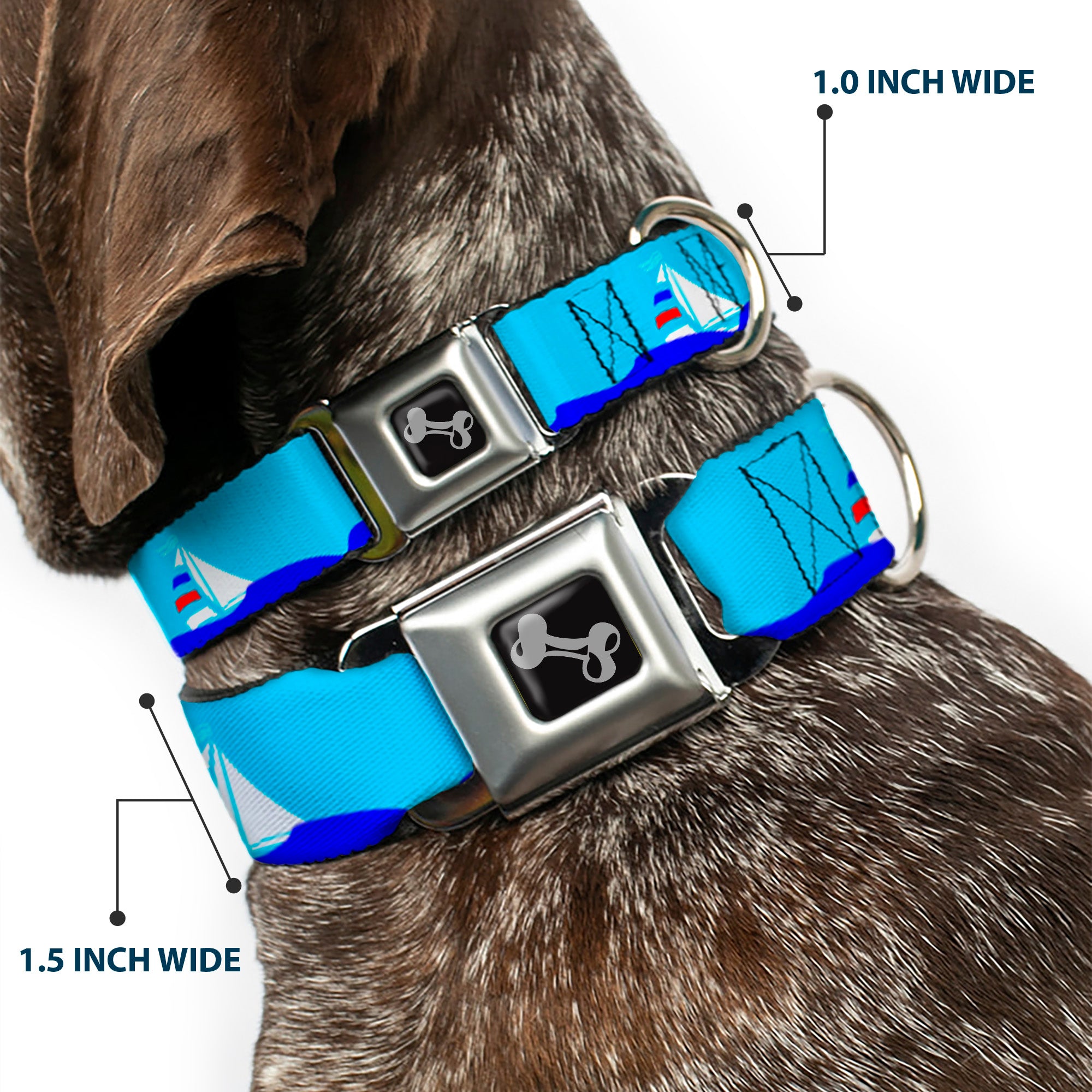Dog Bone Seatbelt Buckle Collar - Boats on the Water Seatbelt Buckle Collars Buckle-Down