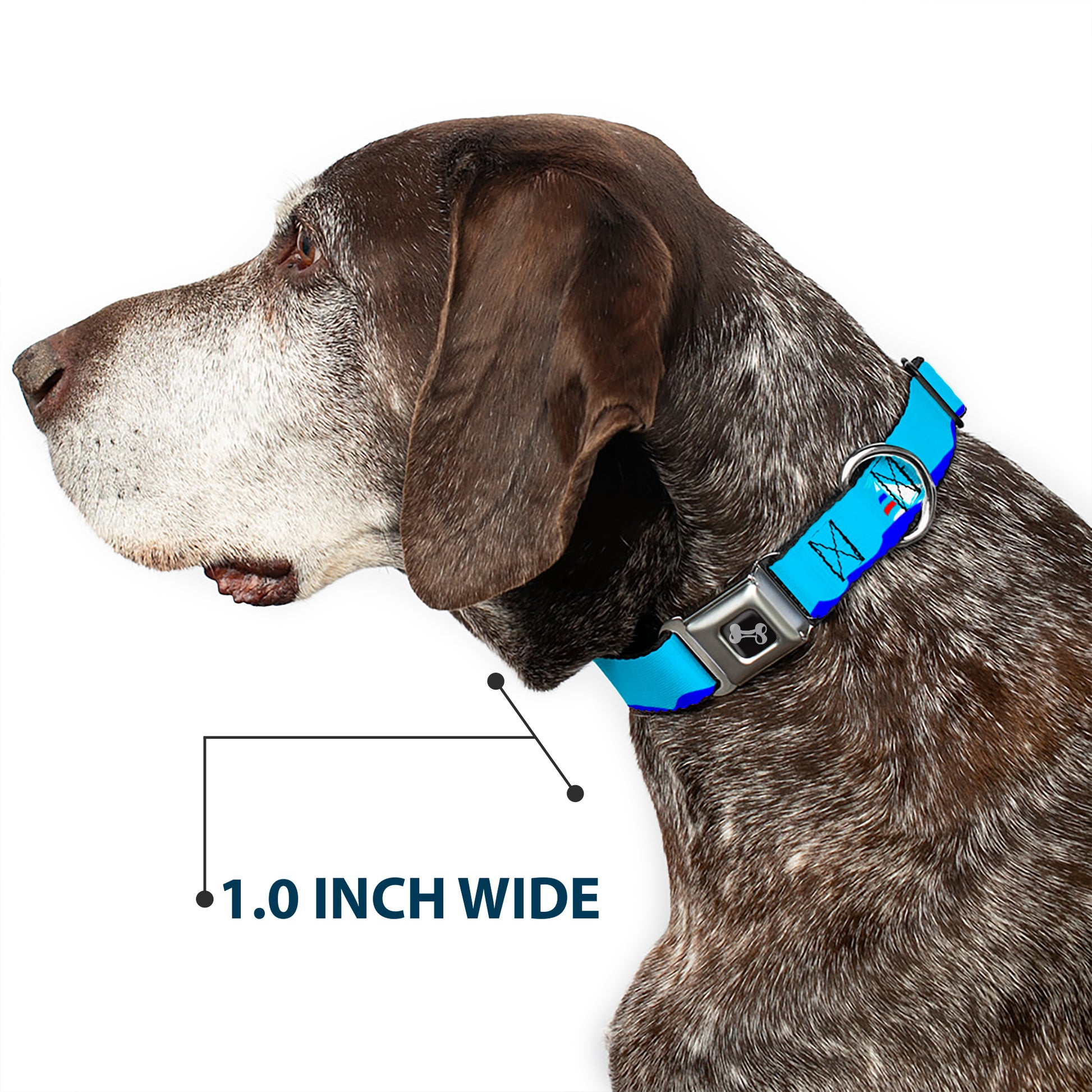 Dog Bone Seatbelt Buckle Collar - Boats on the Water Seatbelt Buckle Collars Buckle-Down