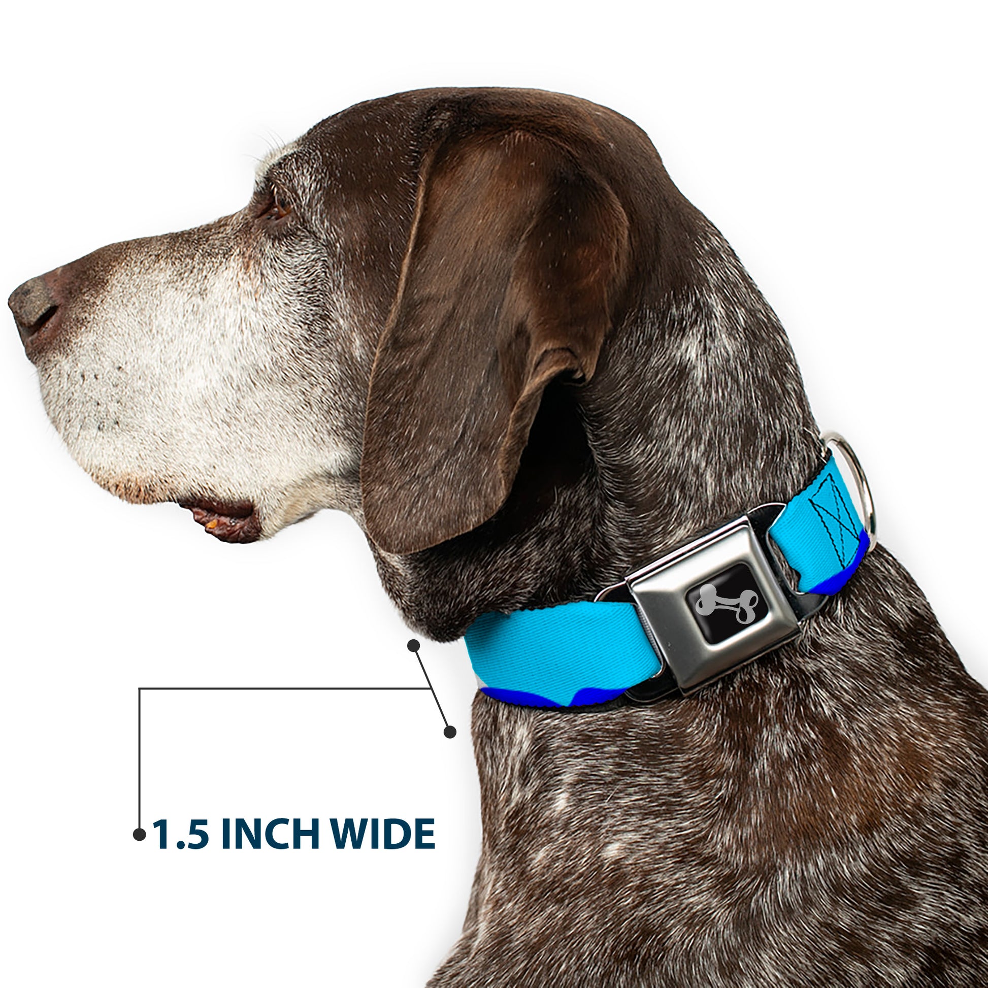 Dog Bone Seatbelt Buckle Collar - Boats on the Water Seatbelt Buckle Collars Buckle-Down