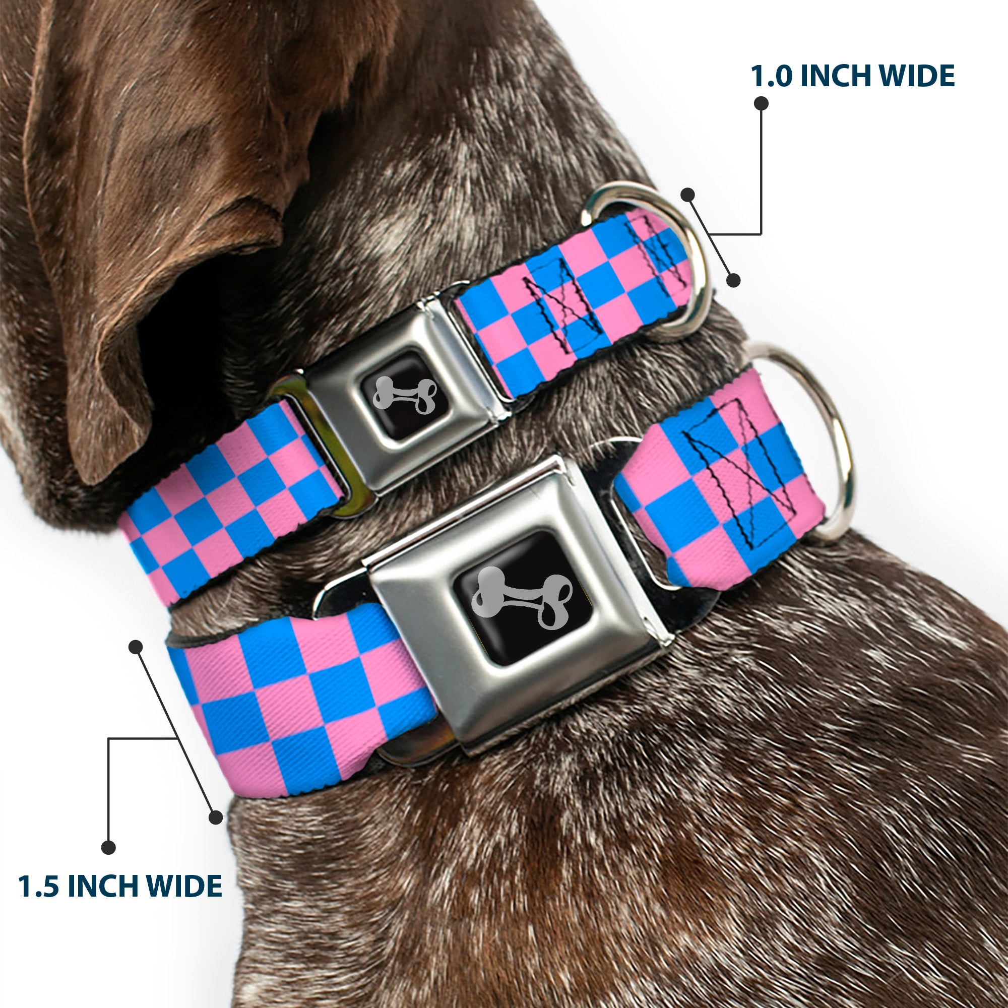 Dog Bone Seatbelt Buckle Collar - Checker Baby Pink/Baby Blue Seatbelt Buckle Collars Buckle-Down