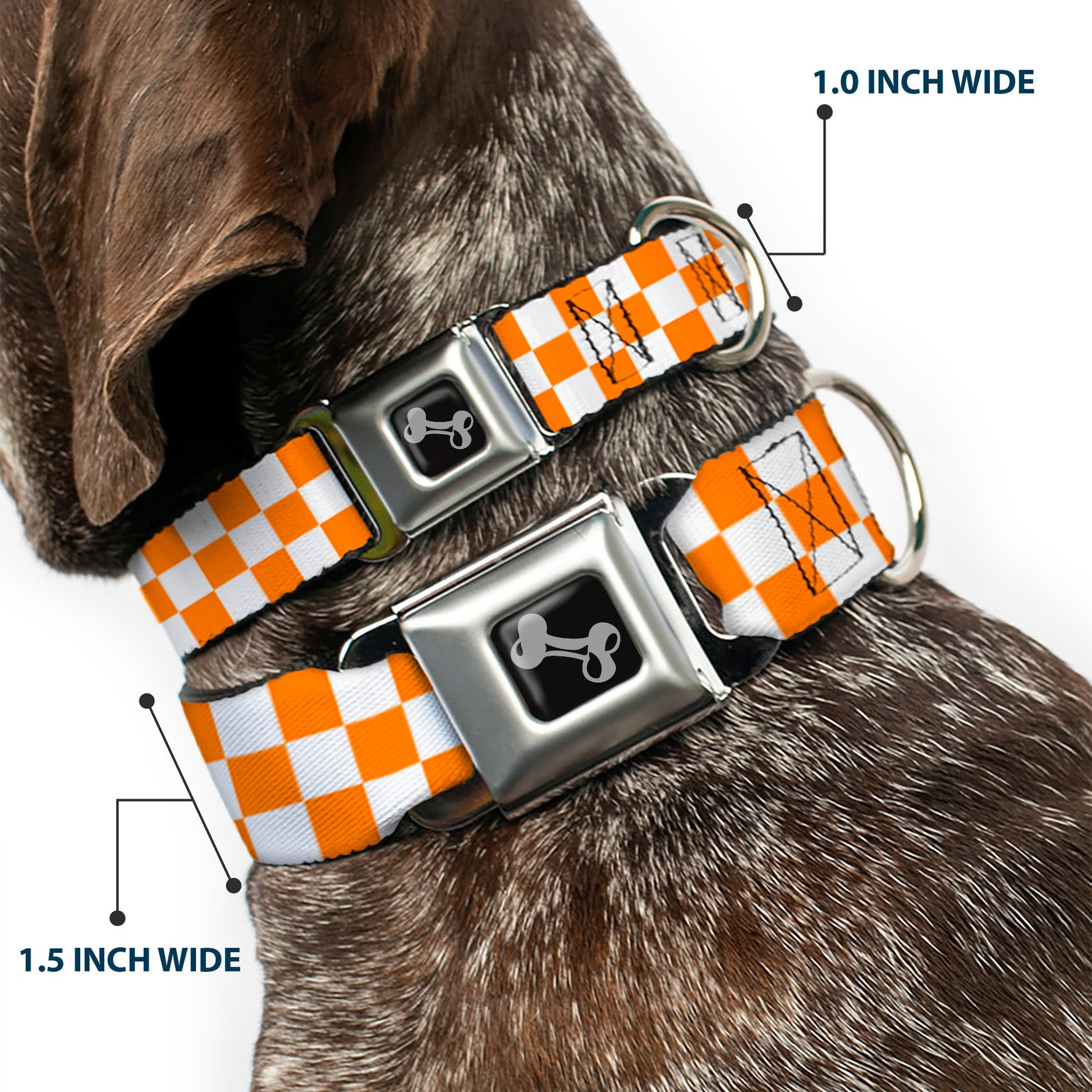 Dog Bone Seatbelt Buckle Collar - Checker White/TN Orange Seatbelt Buckle Collars Buckle-Down