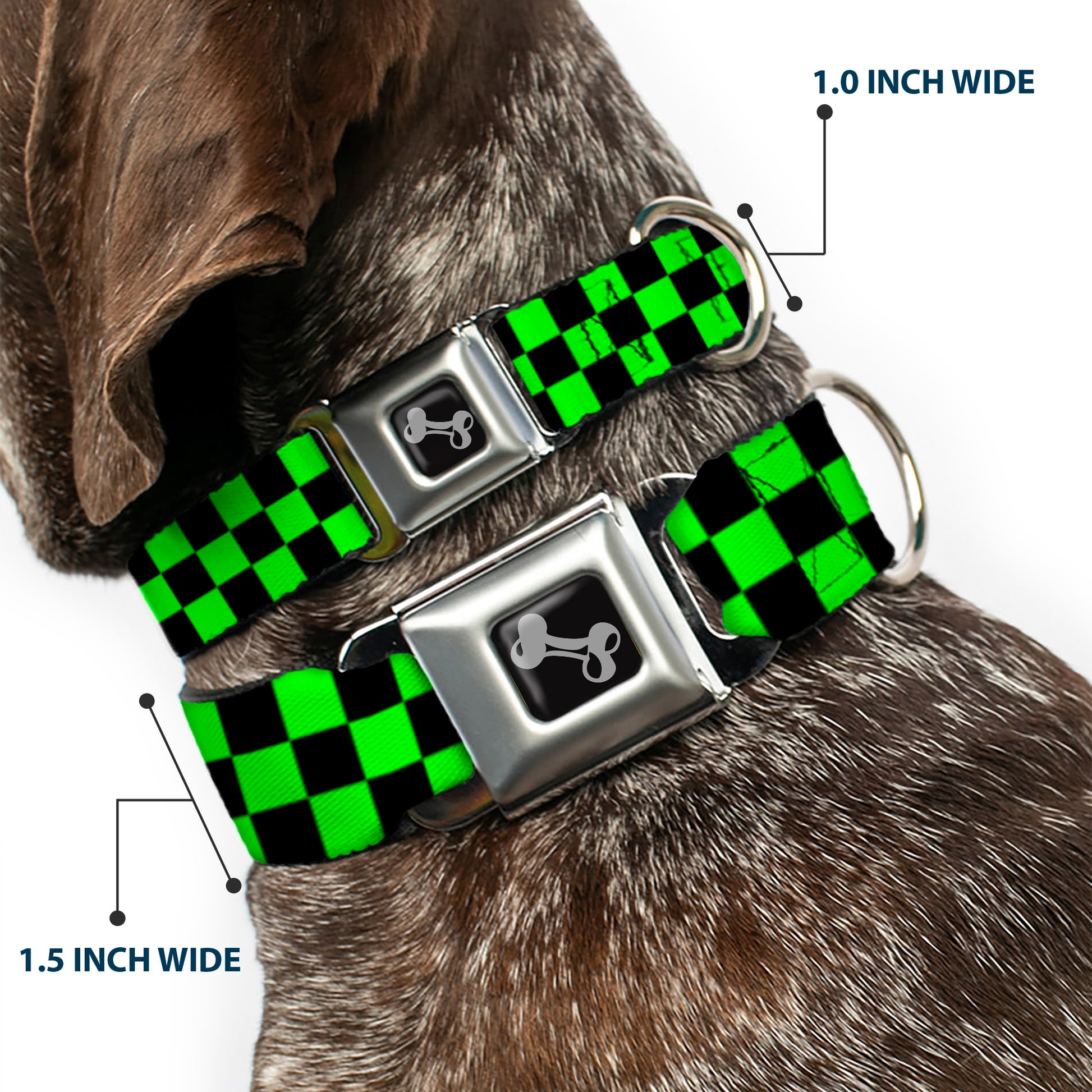 Dog Bone Seatbelt Buckle Collar - Checker Black/Neon Green Seatbelt Buckle Collars Buckle-Down
