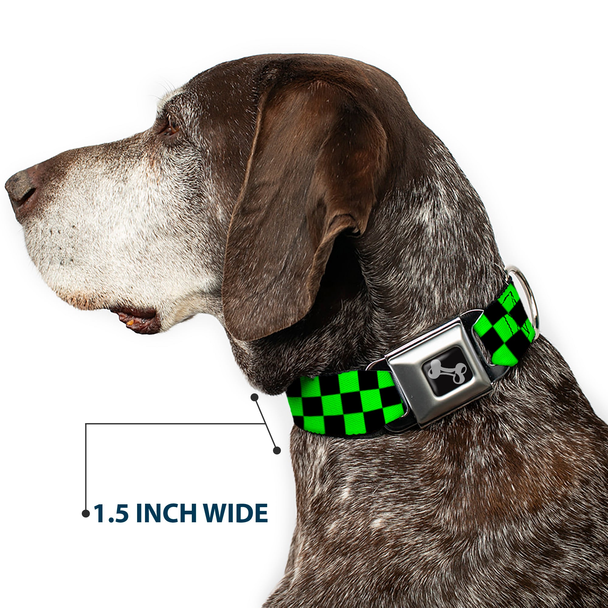 Dog Bone Seatbelt Buckle Collar - Checker Black/Neon Green Seatbelt Buckle Collars Buckle-Down