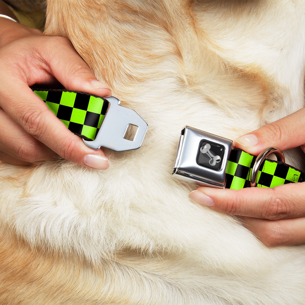 Dog Bone Seatbelt Buckle Collar - Checker Black/Neon Green Seatbelt Buckle Collars Buckle-Down