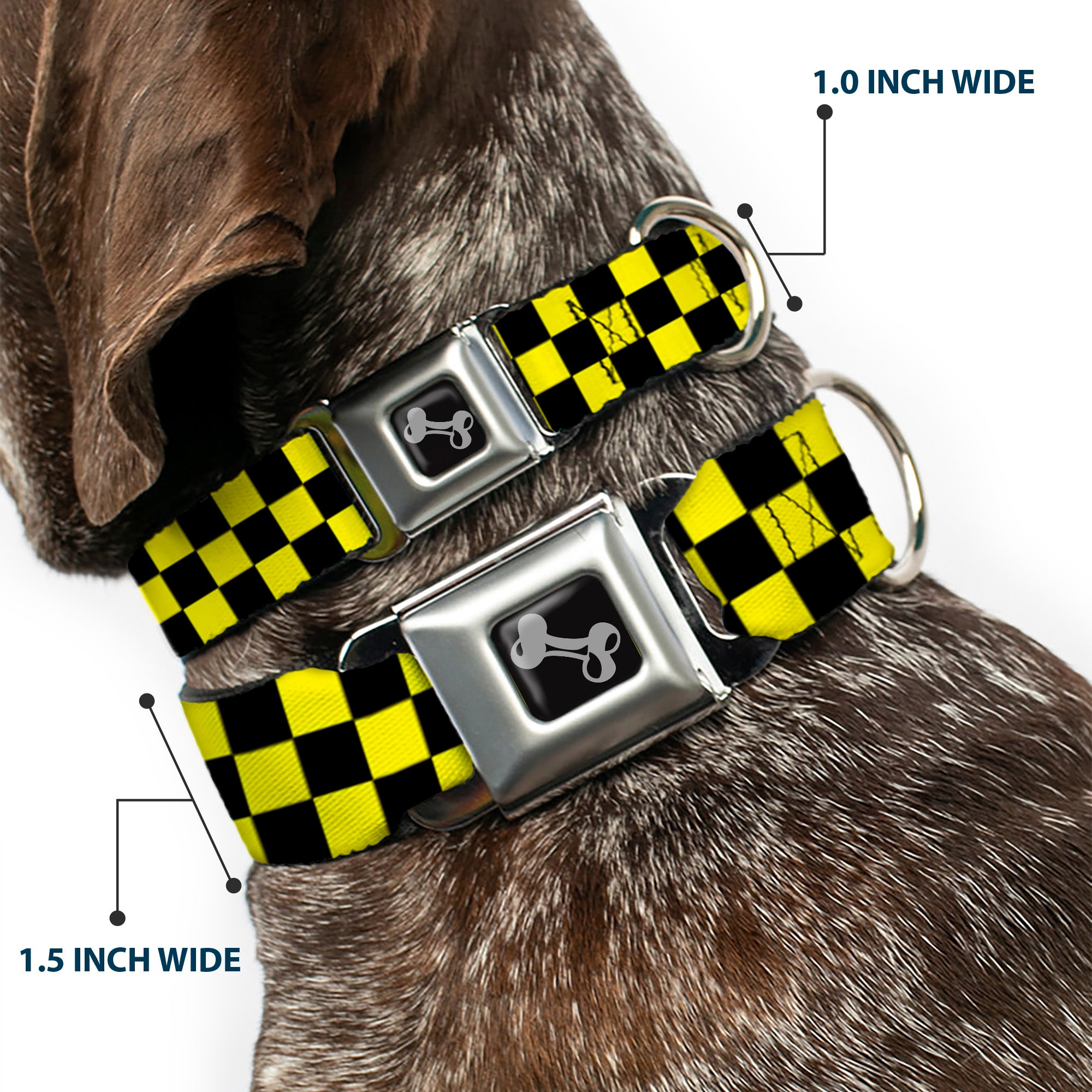 Dog Bone Seatbelt Buckle Collar - Checker Black/Neon Yellow Seatbelt Buckle Collars Buckle-Down