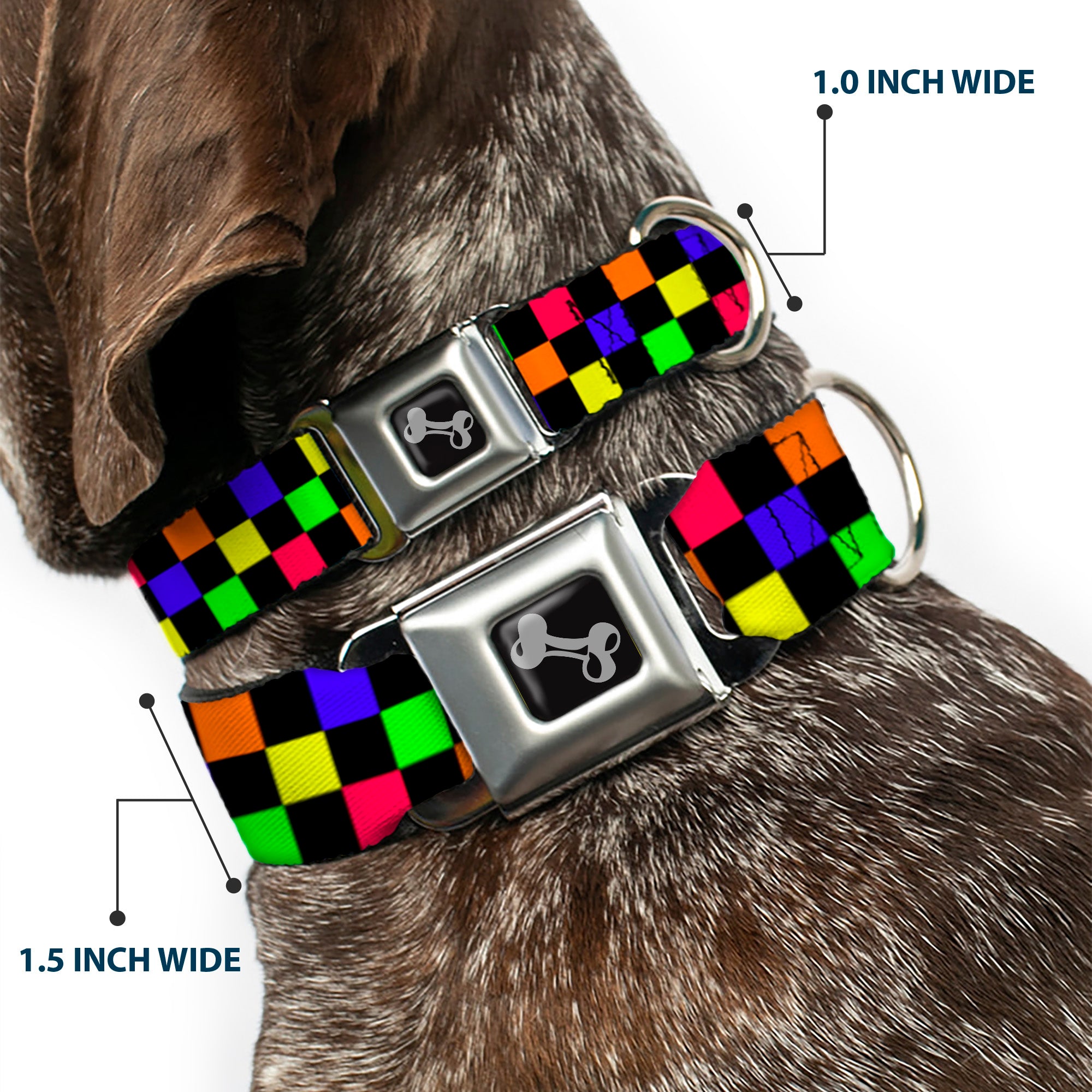 Dog Bone Seatbelt Buckle Collar - Checker Black/Multi Neon Seatbelt Buckle Collars Buckle-Down