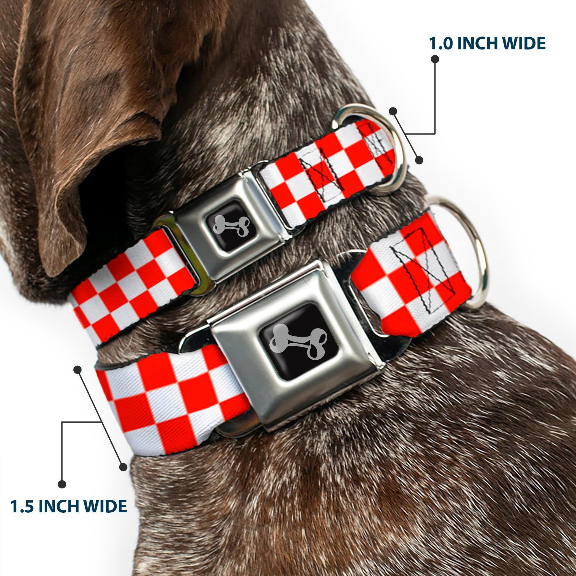 Dog Bone Seatbelt Buckle Collar - Checker Red/White Seatbelt Buckle Collars Buckle-Down