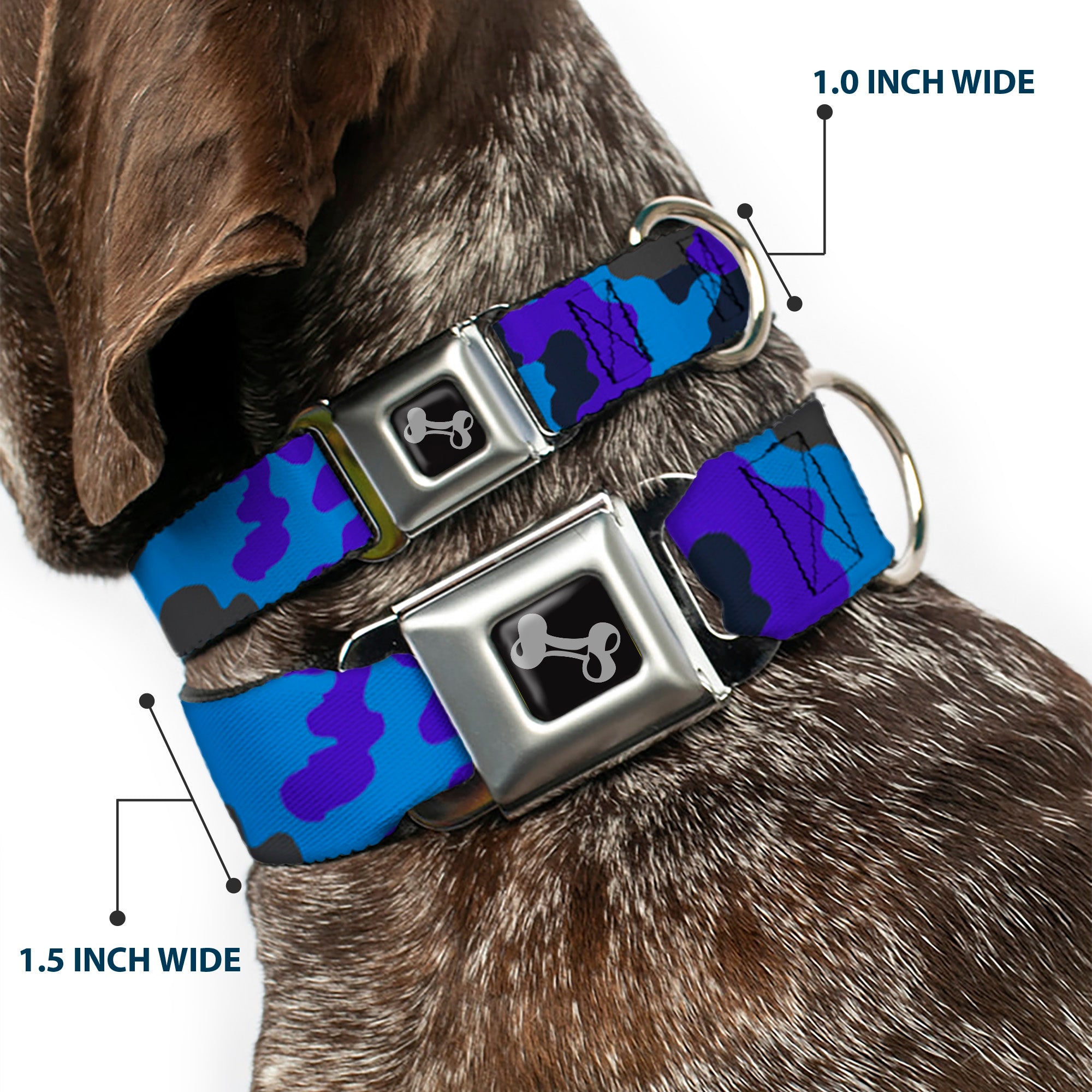 Dog Bone Seatbelt Buckle Collar - Camo Blue Seatbelt Buckle Collars Buckle-Down