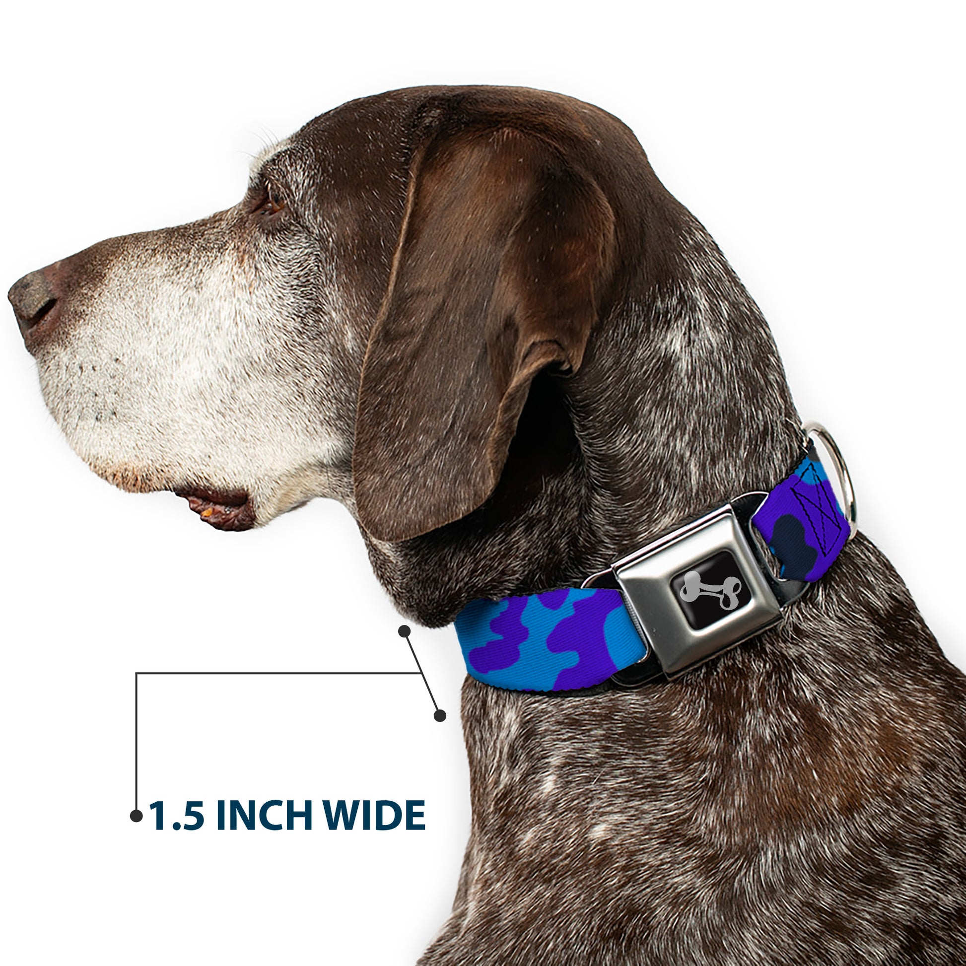 Dog Bone Seatbelt Buckle Collar - Camo Blue Seatbelt Buckle Collars Buckle-Down