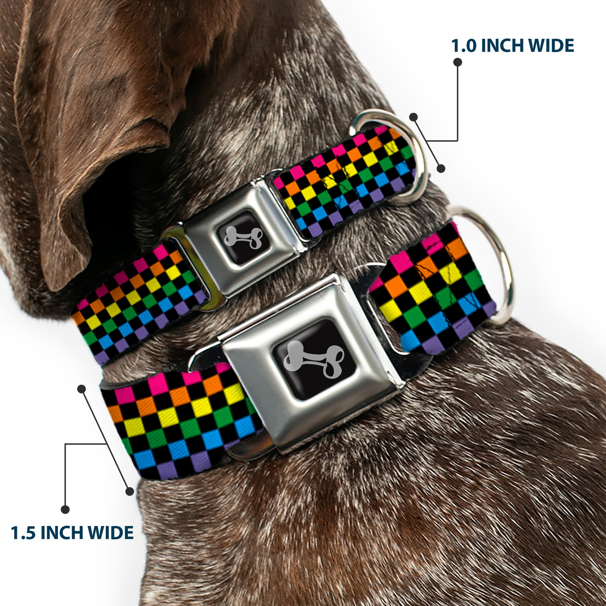 Dog Bone Seatbelt Buckle Collar - Checker Black/Neon Rainbow Seatbelt Buckle Collars Buckle-Down