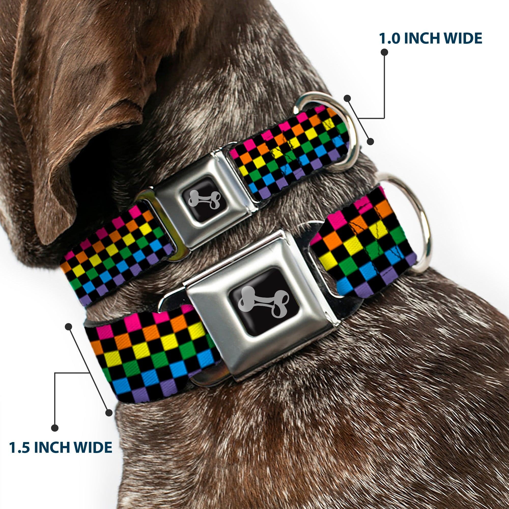 Dog Bone Seatbelt Buckle Collar - Checker Black/Neon Rainbow Seatbelt Buckle Collars Buckle-Down