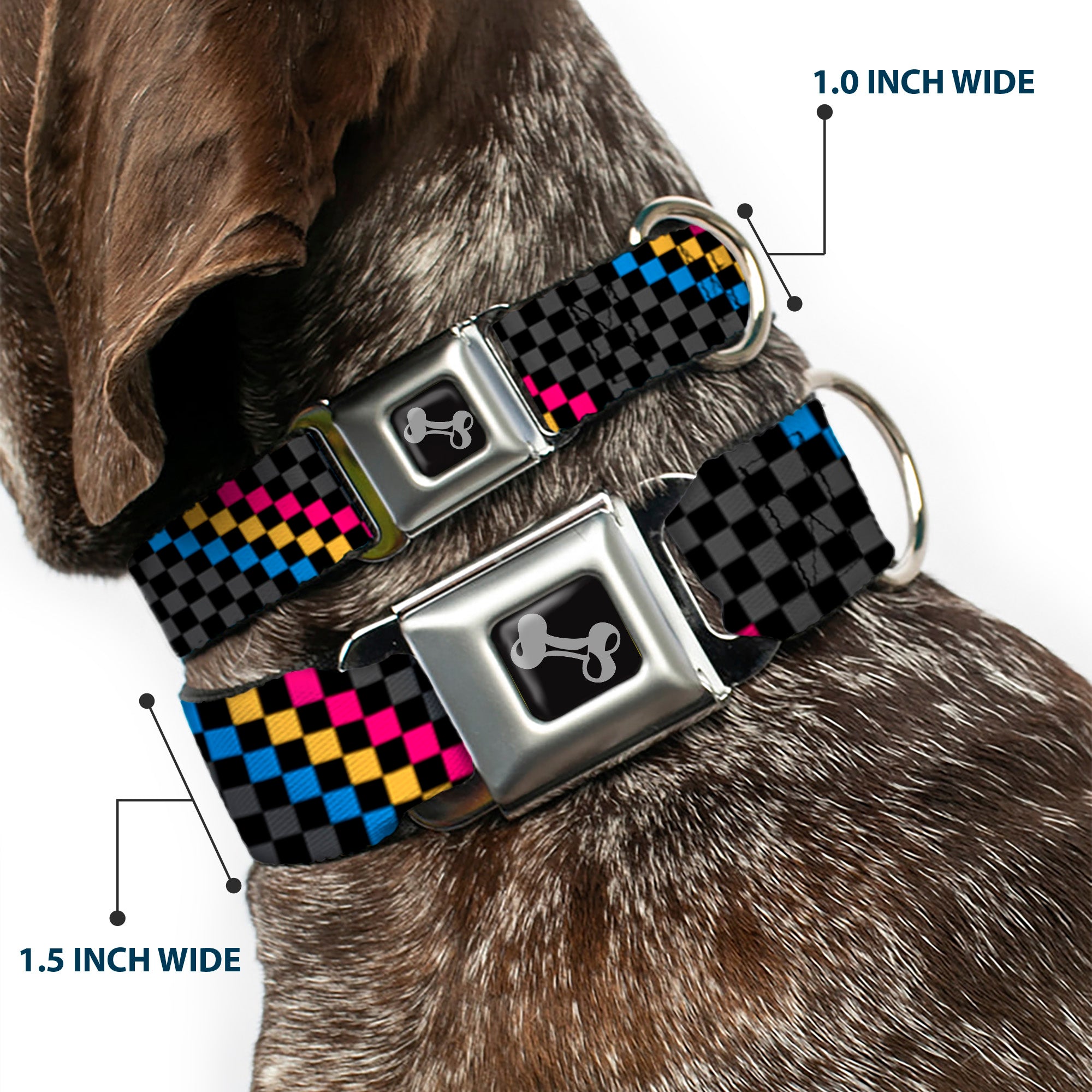 Dog Bone Seatbelt Buckle Collar - Checker Stripe Black/Gray/Blue/Gold/Pink Seatbelt Buckle Collars Buckle-Down