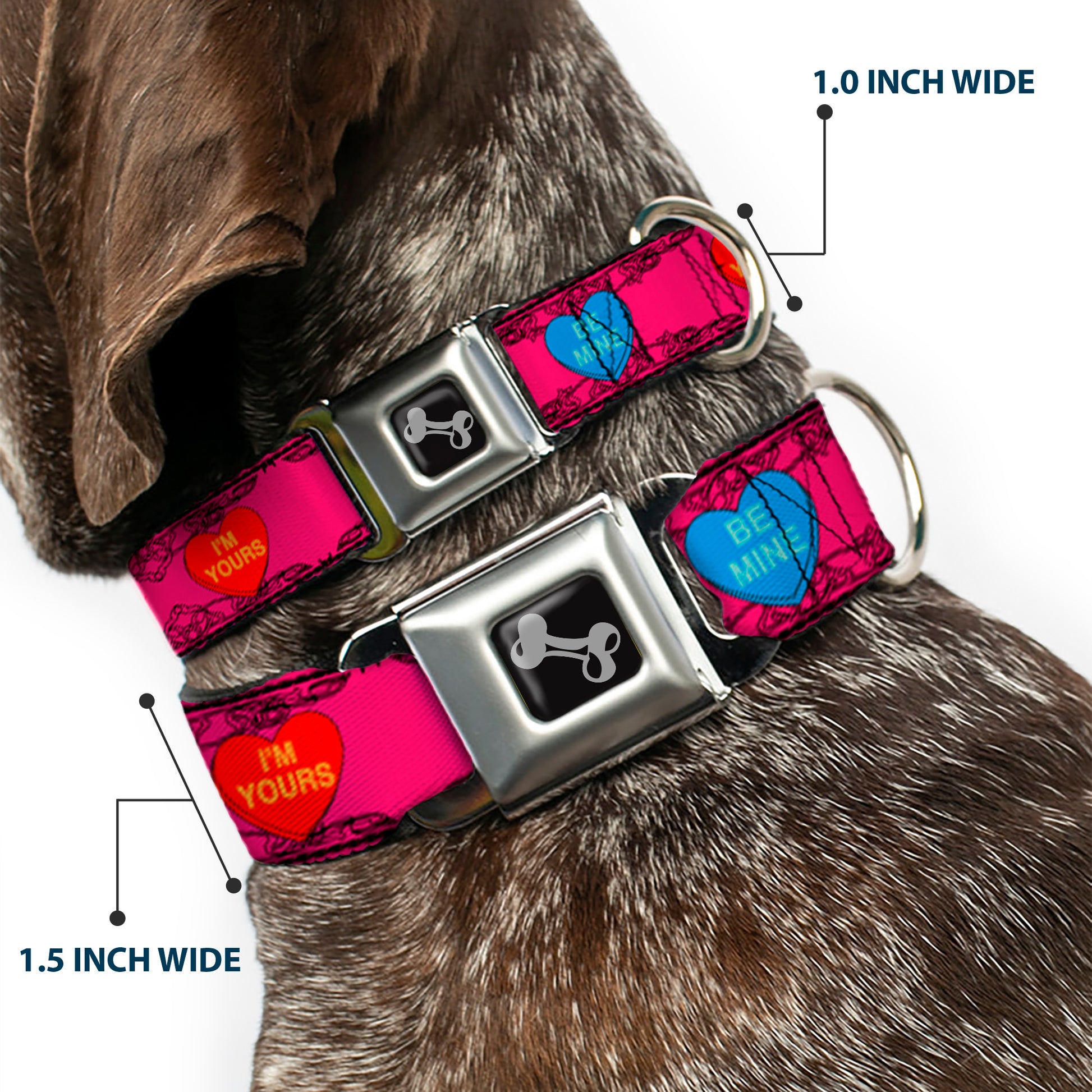 Dog Bone Seatbelt Buckle Collar - Candy Hearts Seatbelt Buckle Collars Buckle-Down