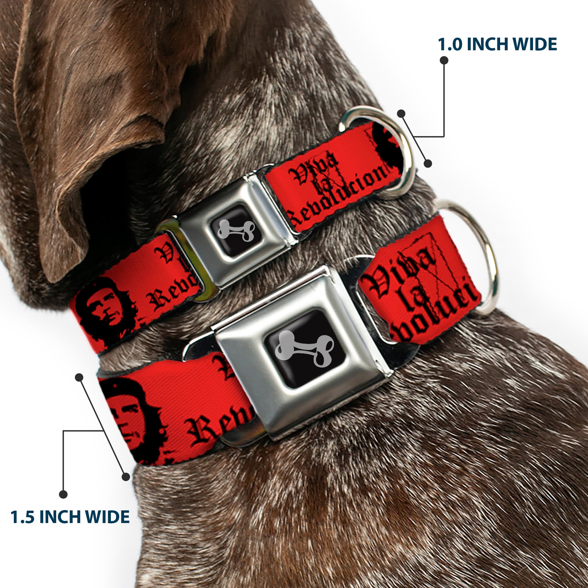 Dog Bone Seatbelt Buckle Collar - Che Red/Black Seatbelt Buckle Collars Buckle-Down