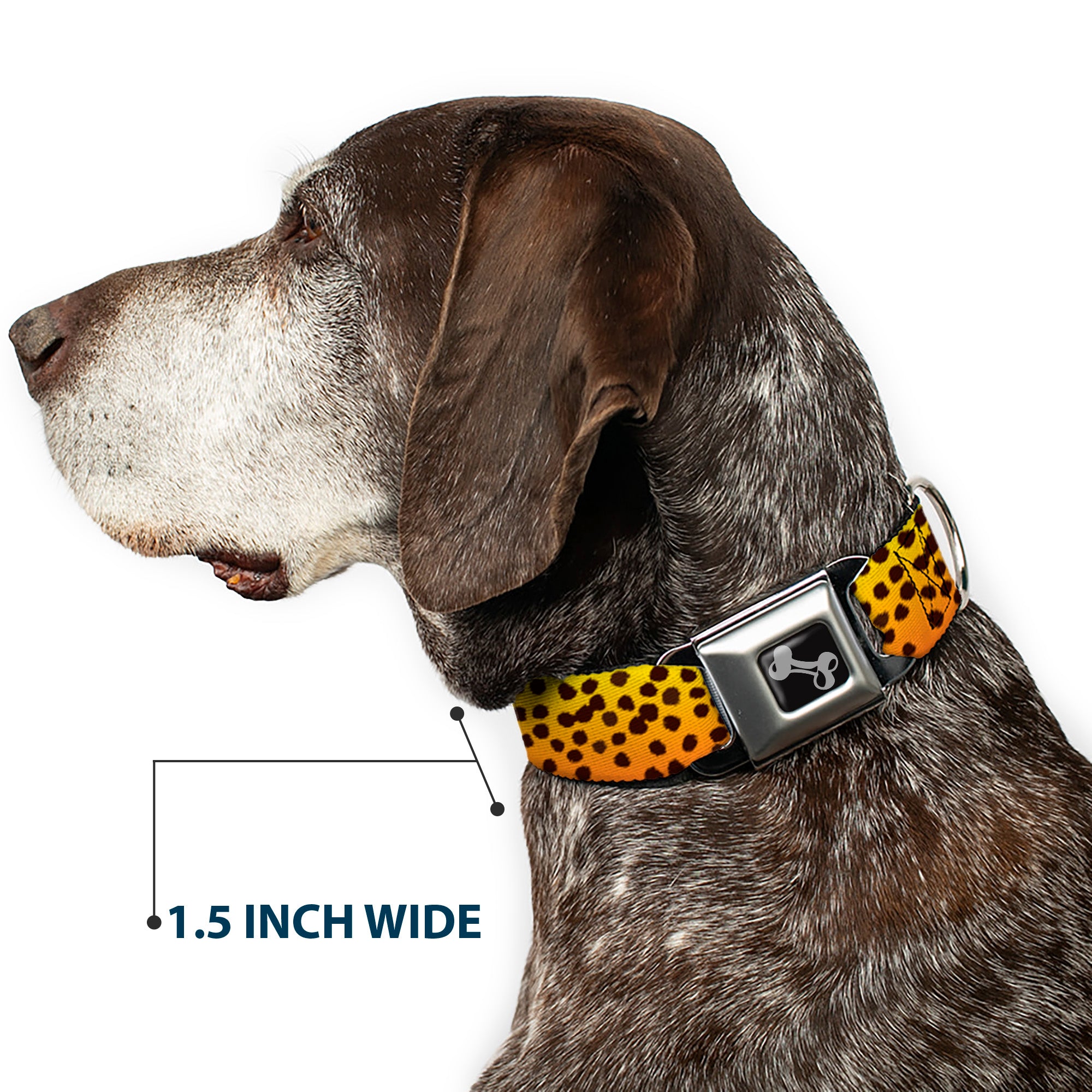 Dog Bone Seatbelt Buckle Collar - Cheetah Seatbelt Buckle Collars Buckle-Down