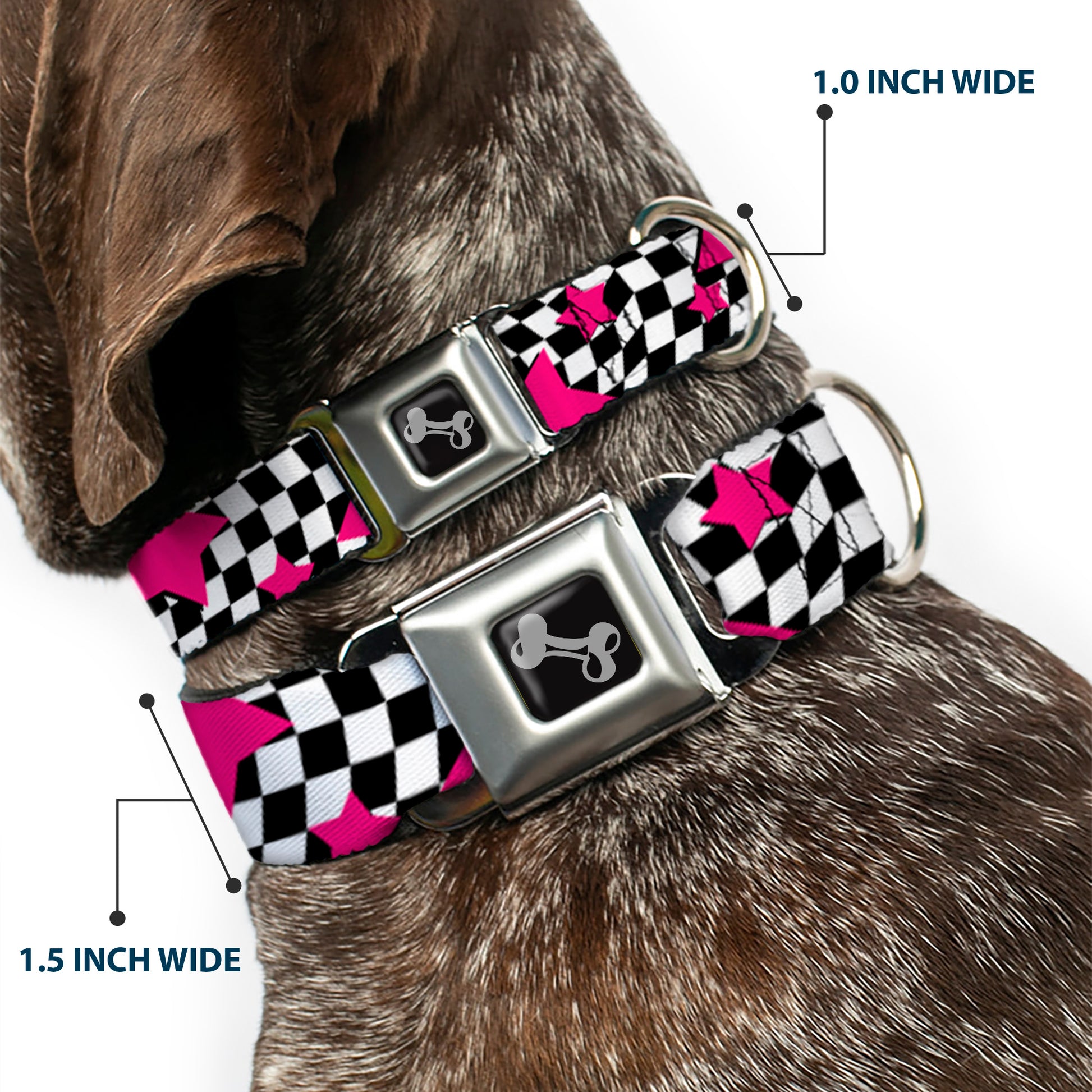 Dog Bone Seatbelt Buckle Collar - Checker & Stars Black/White/Pink Seatbelt Buckle Collars Buckle-Down