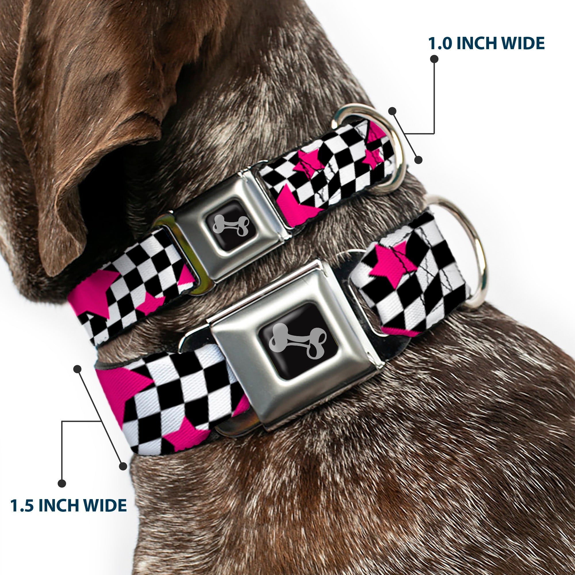 Dog Bone Seatbelt Buckle Collar - Checker & Stars Black/White/Pink Seatbelt Buckle Collars Buckle-Down