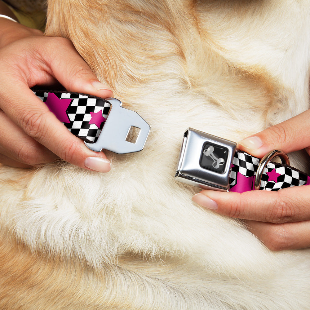 Dog Bone Seatbelt Buckle Collar - Checker & Stars Black/White/Pink Seatbelt Buckle Collars Buckle-Down