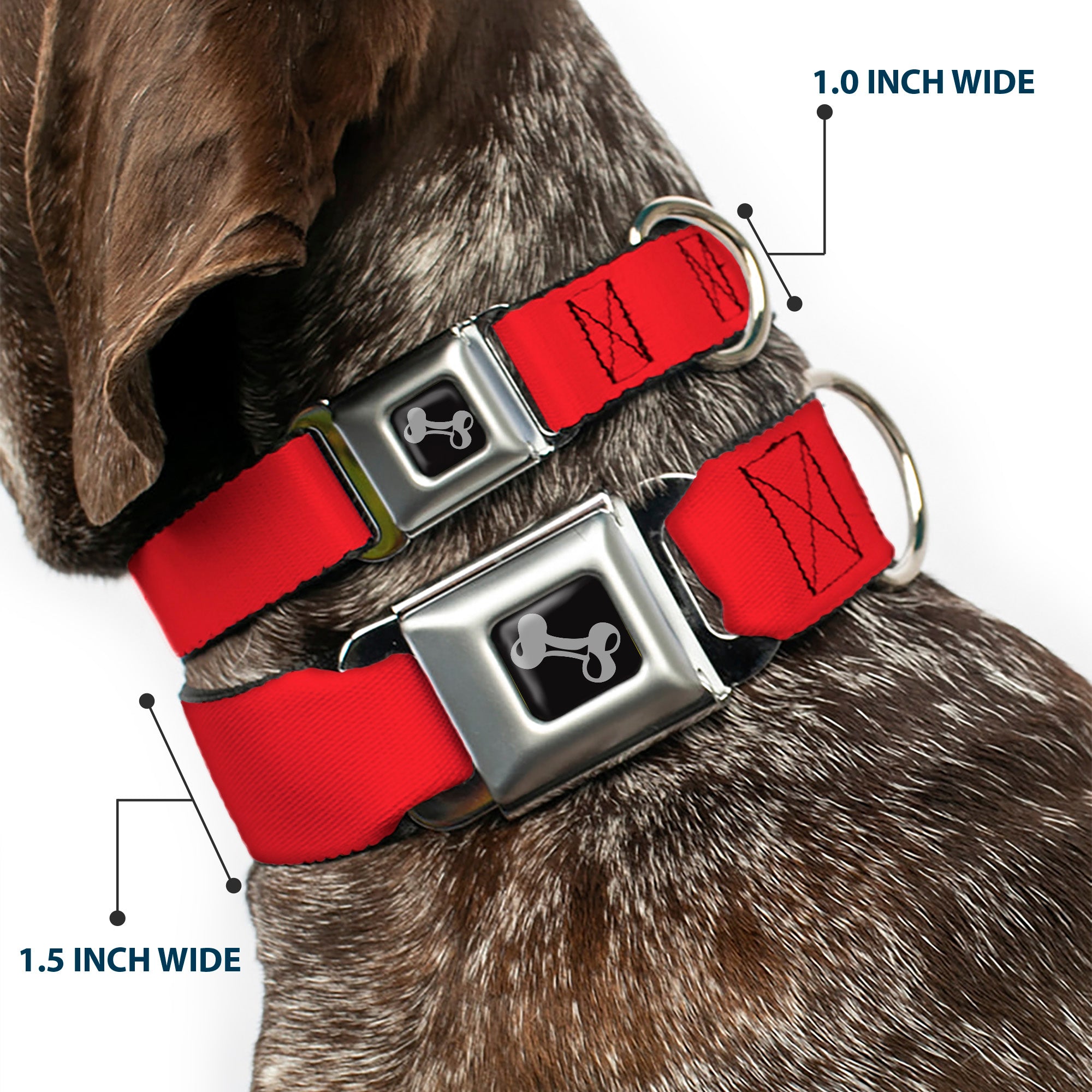 Dog Bone Seatbelt Buckle Collar - Christmas Red Seatbelt Buckle Collars Buckle-Down