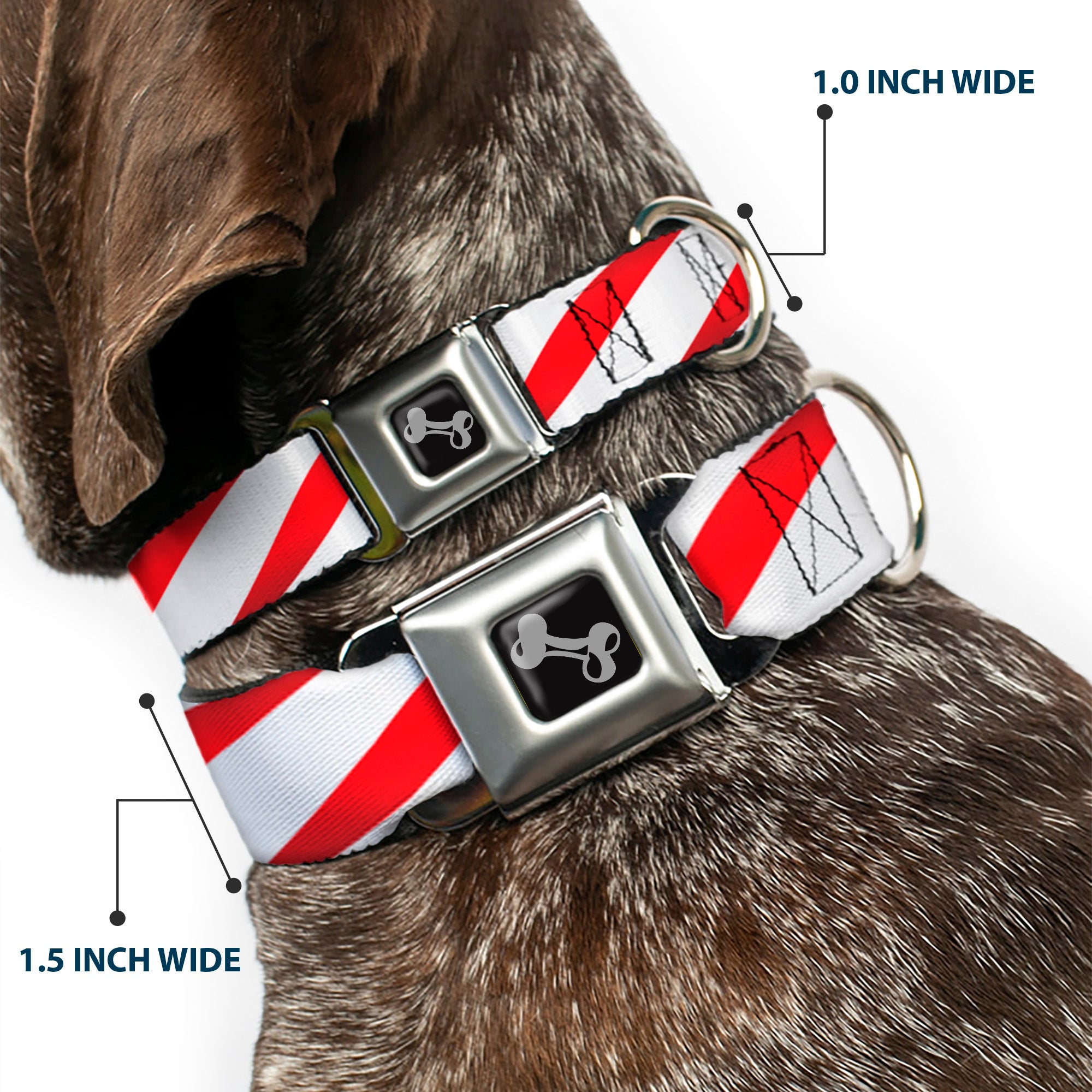 Dog Bone Seatbelt Buckle Collar - Candy Cane Seatbelt Buckle Collars Buckle-Down