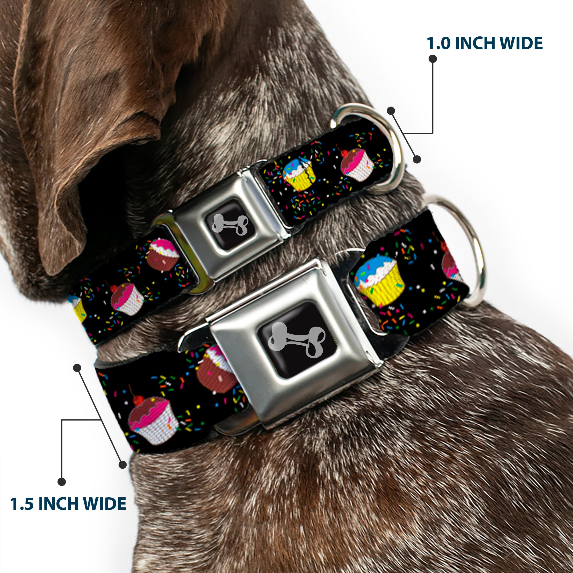 Dog Bone Seatbelt Buckle Collar - Cupcake Sprinkles Black/Multi Color Seatbelt Buckle Collars Buckle-Down