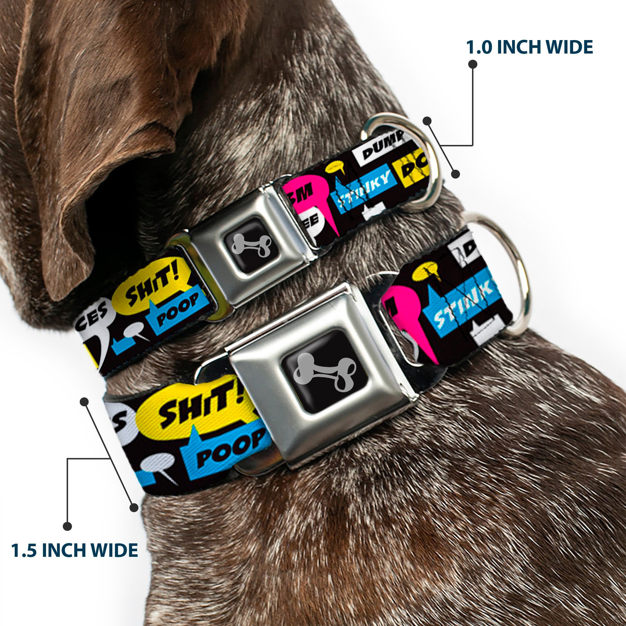 Buckle-Down Seatbelt Buckle Dog Collar - Crap Bubbles Seatbelt Buckle Collars Buckle-Down