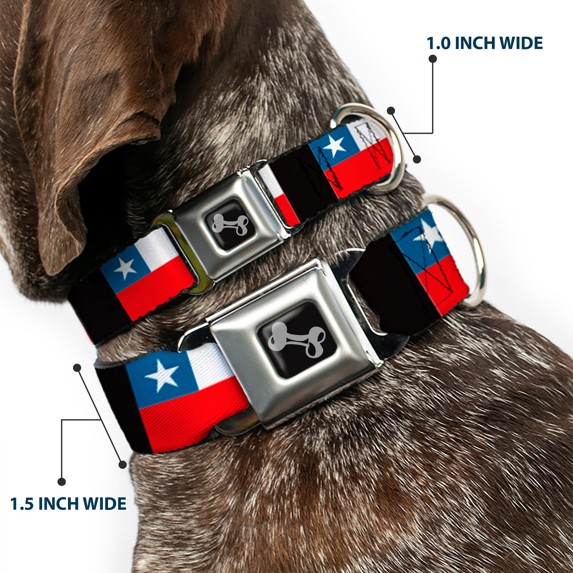 Dog Bone Seatbelt Buckle Collar - Chile Flags Seatbelt Buckle Collars Buckle-Down
