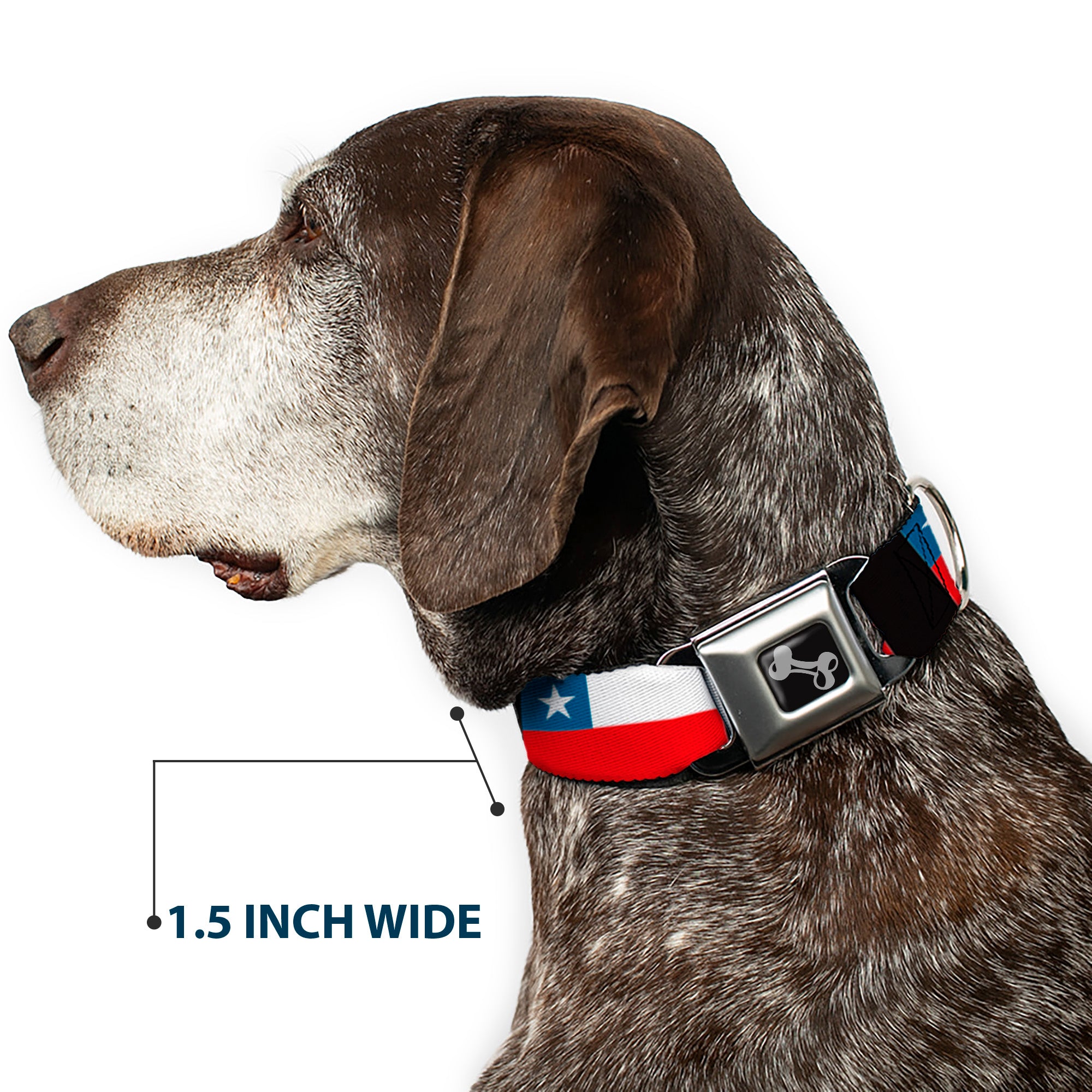 Dog Bone Seatbelt Buckle Collar - Chile Flags Seatbelt Buckle Collars Buckle-Down