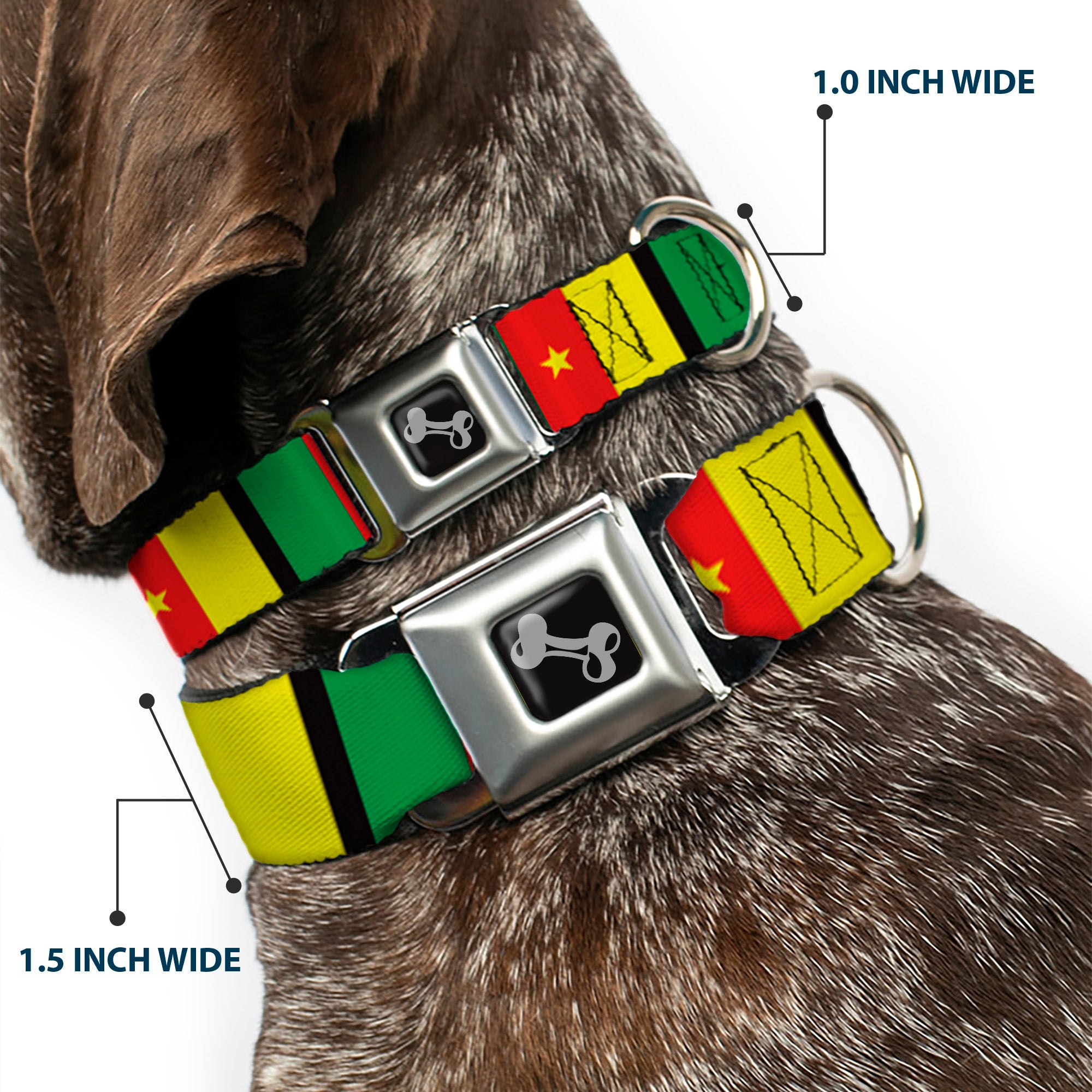 Dog Bone Seatbelt Buckle Collar - Cameroon Flags Seatbelt Buckle Collars Buckle-Down