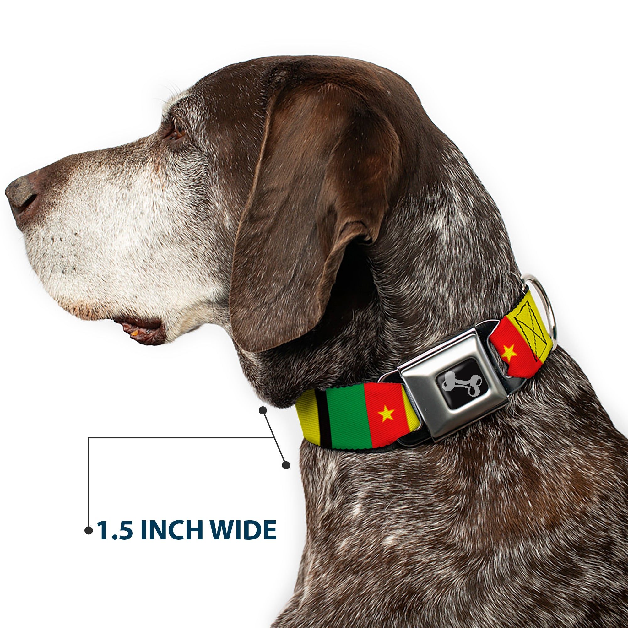 Dog Bone Seatbelt Buckle Collar - Cameroon Flags Seatbelt Buckle Collars Buckle-Down