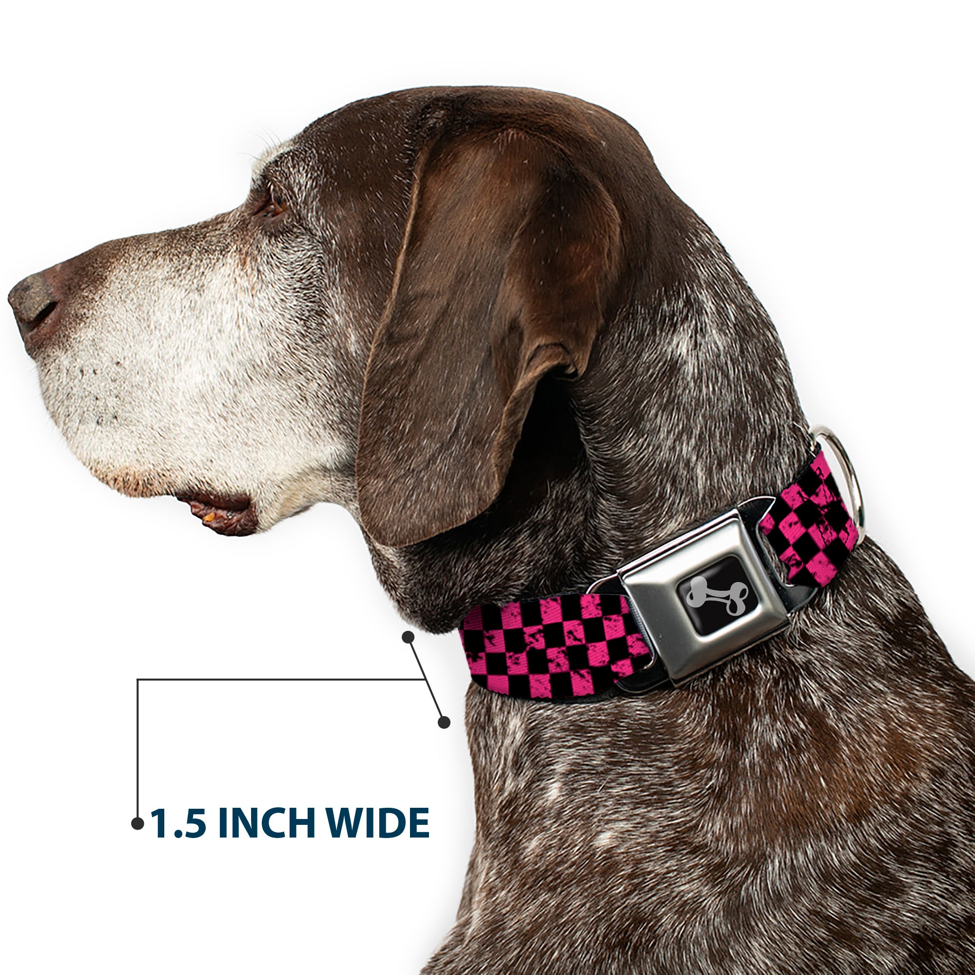 Dog Bone Seatbelt Buckle Collar - Checker Weathered Black/Neon Pink Seatbelt Buckle Collars Buckle-Down