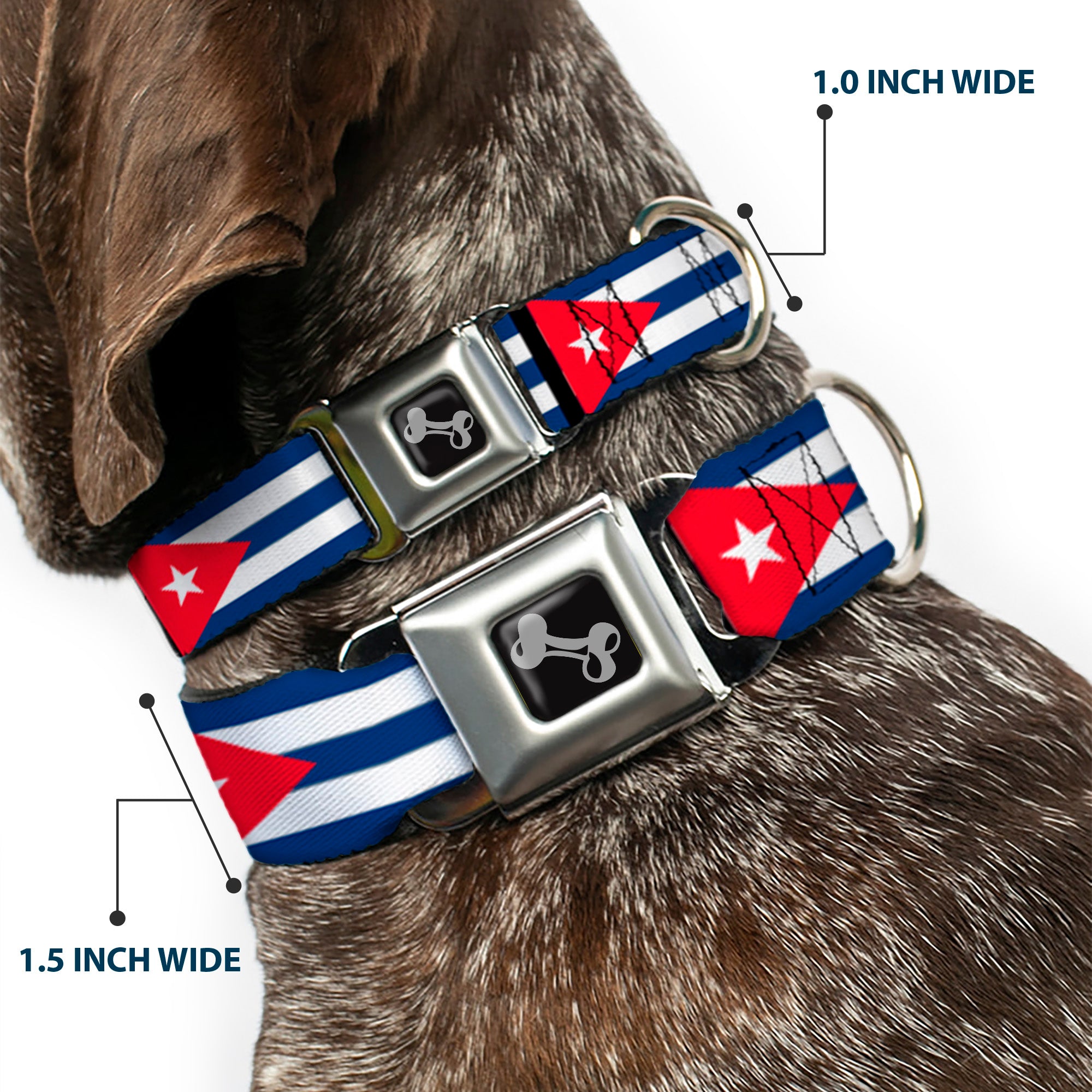 Dog Bone Seatbelt Buckle Collar - Cuba Flags Seatbelt Buckle Collars Buckle-Down