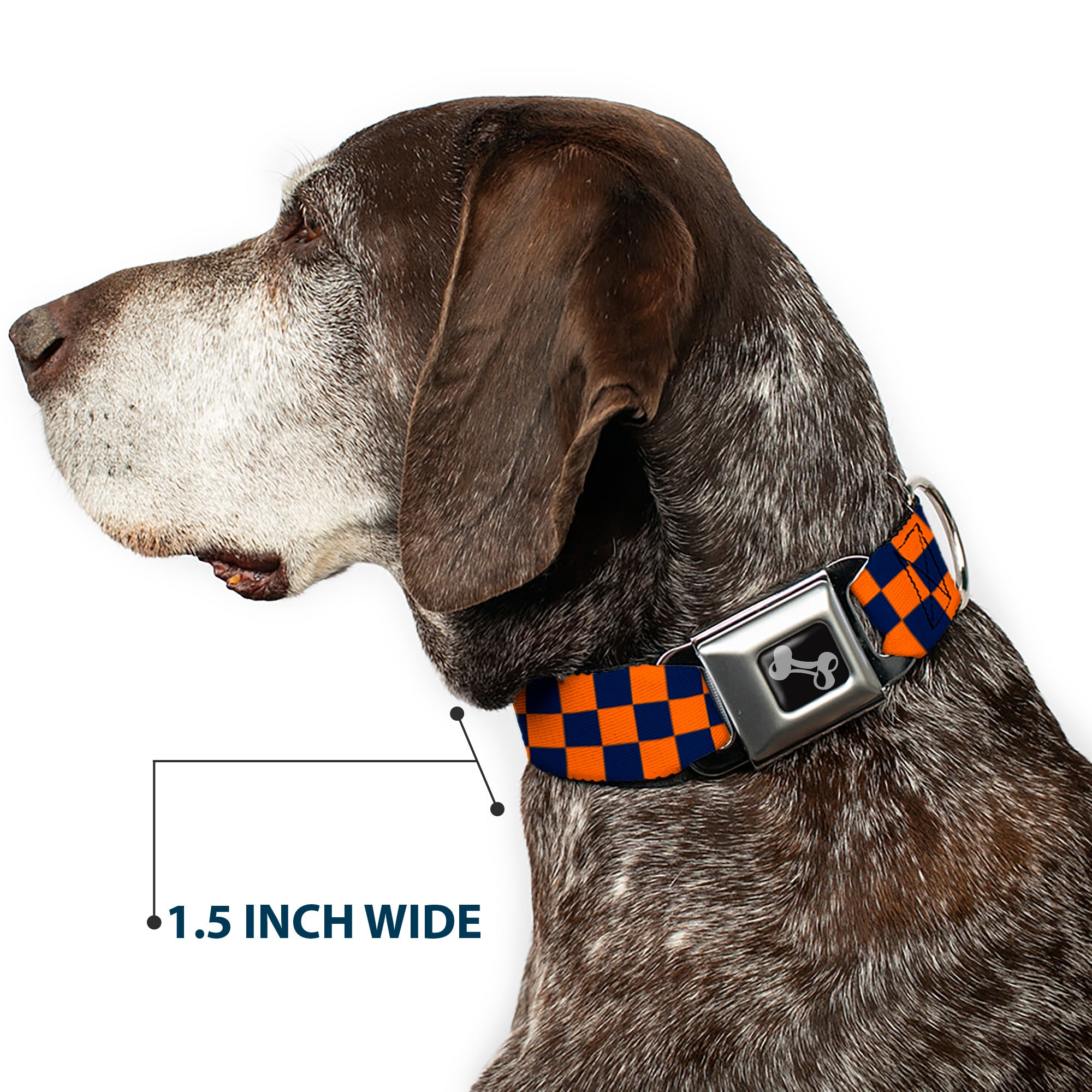 Dog Bone Seatbelt Buckle Collar - Checker Orange/Blue Seatbelt Buckle Collars Buckle-Down
