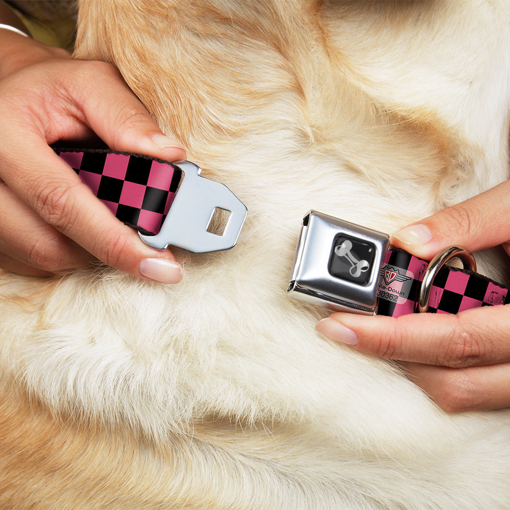 Dog Bone Seatbelt Buckle Collar - Checker Black/Honeysuckle Red Seatbelt Buckle Collars Buckle-Down