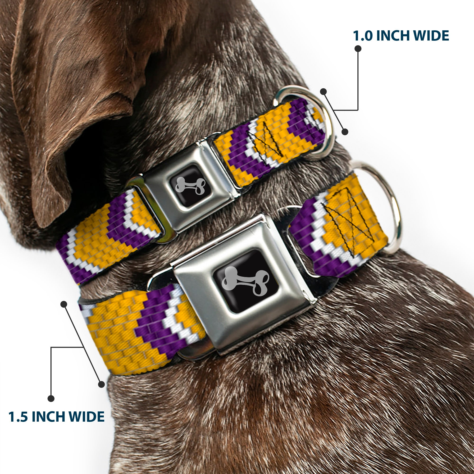 Dog Bone Seatbelt Buckle Collar - Chevron Weave Gold/Purple/White Seatbelt Buckle Collars Buckle-Down