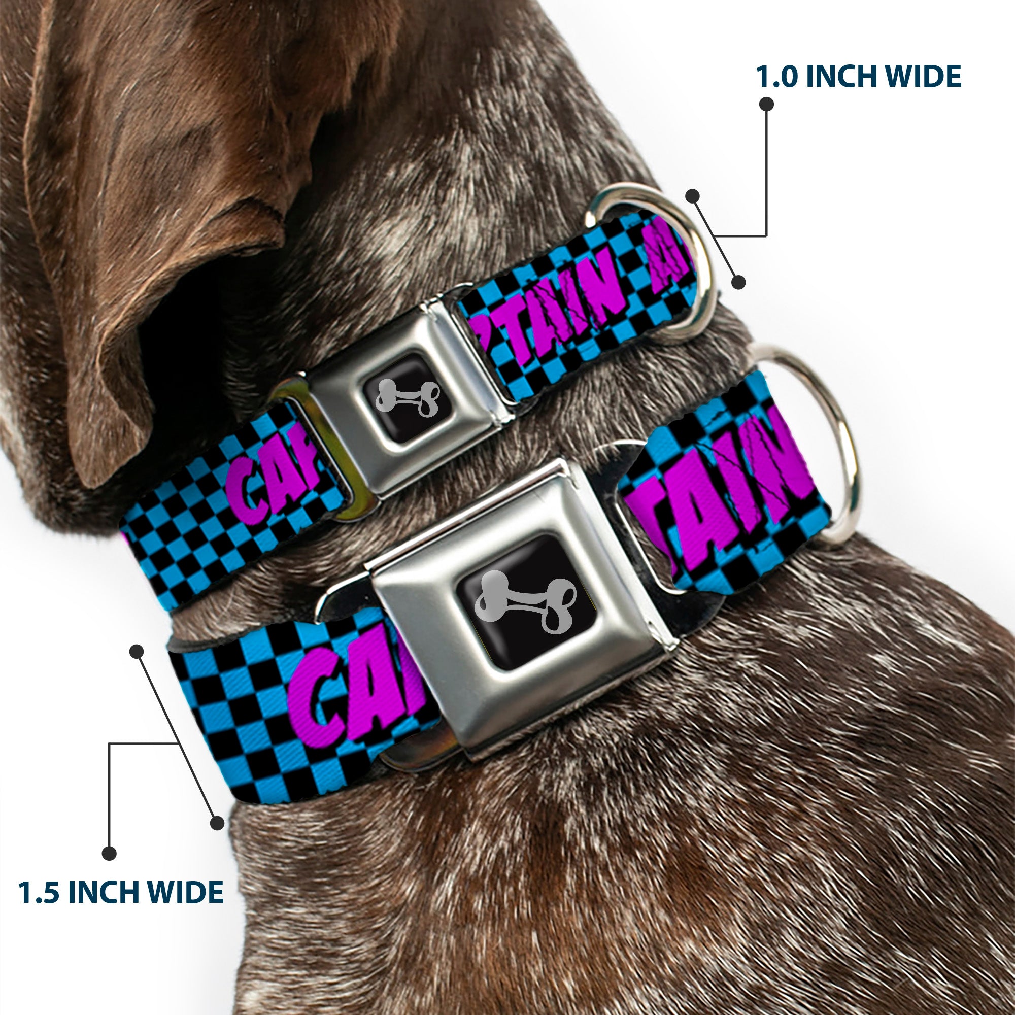 Dog Bone Seatbelt Buckle Collar - CAPTAIN AWESOME Turquoise Checker/Fuchsia Seatbelt Buckle Collars Buckle-Down