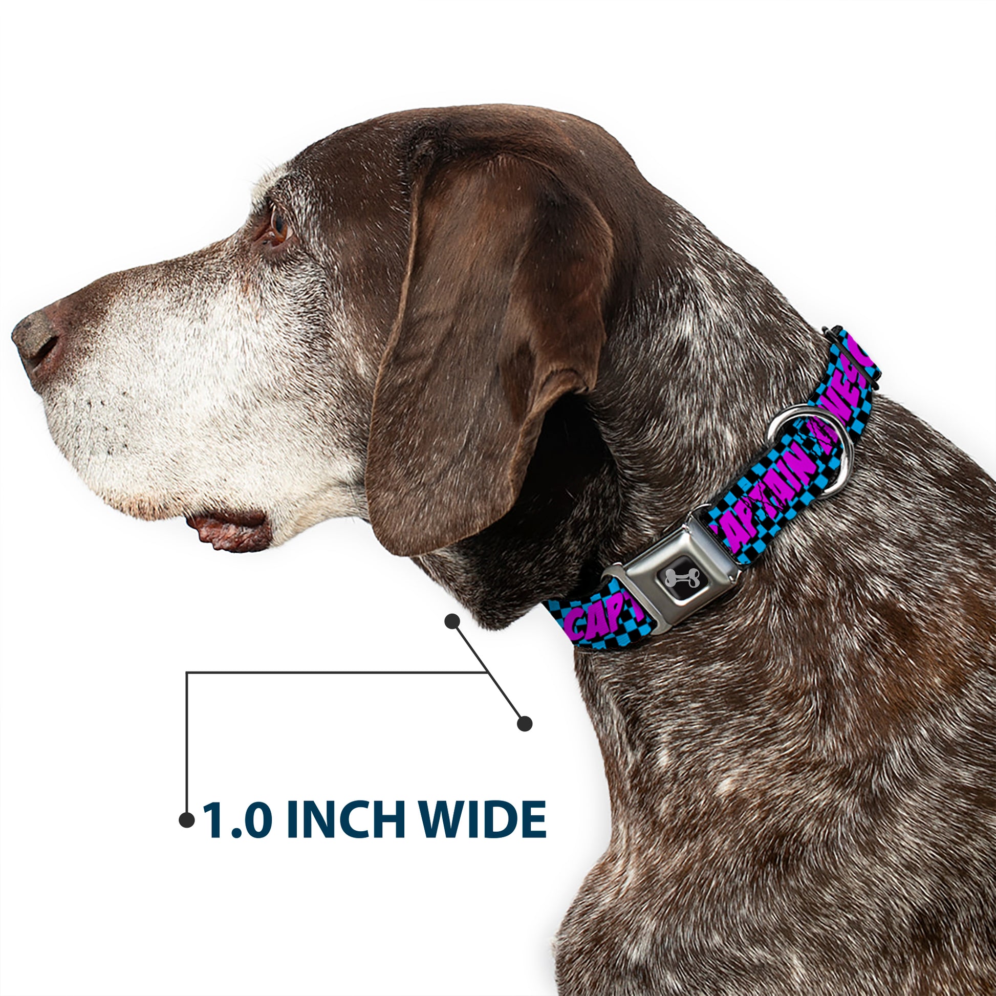 Dog Bone Seatbelt Buckle Collar - CAPTAIN AWESOME Turquoise Checker/Fuchsia Seatbelt Buckle Collars Buckle-Down