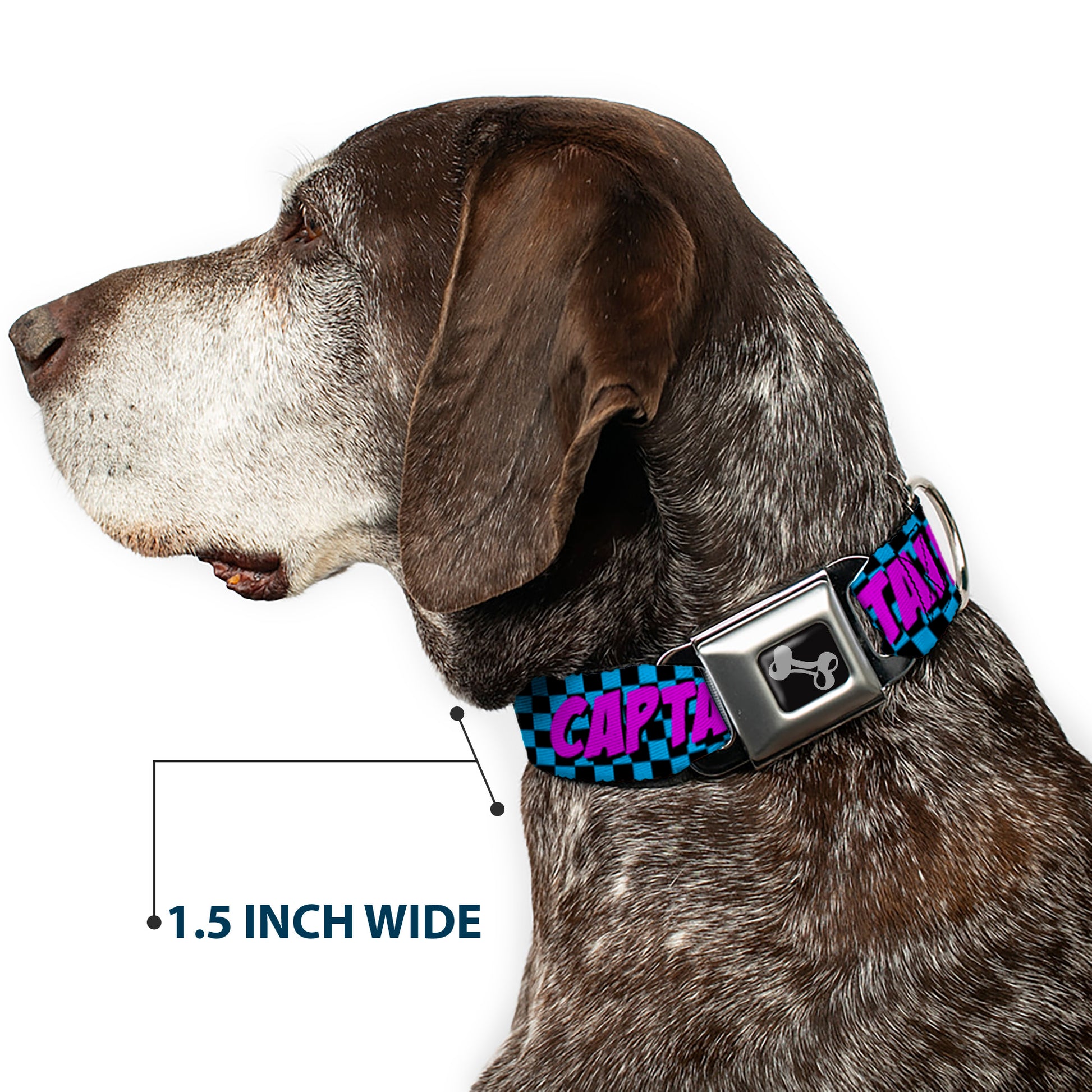 Dog Bone Seatbelt Buckle Collar - CAPTAIN AWESOME Turquoise Checker/Fuchsia Seatbelt Buckle Collars Buckle-Down