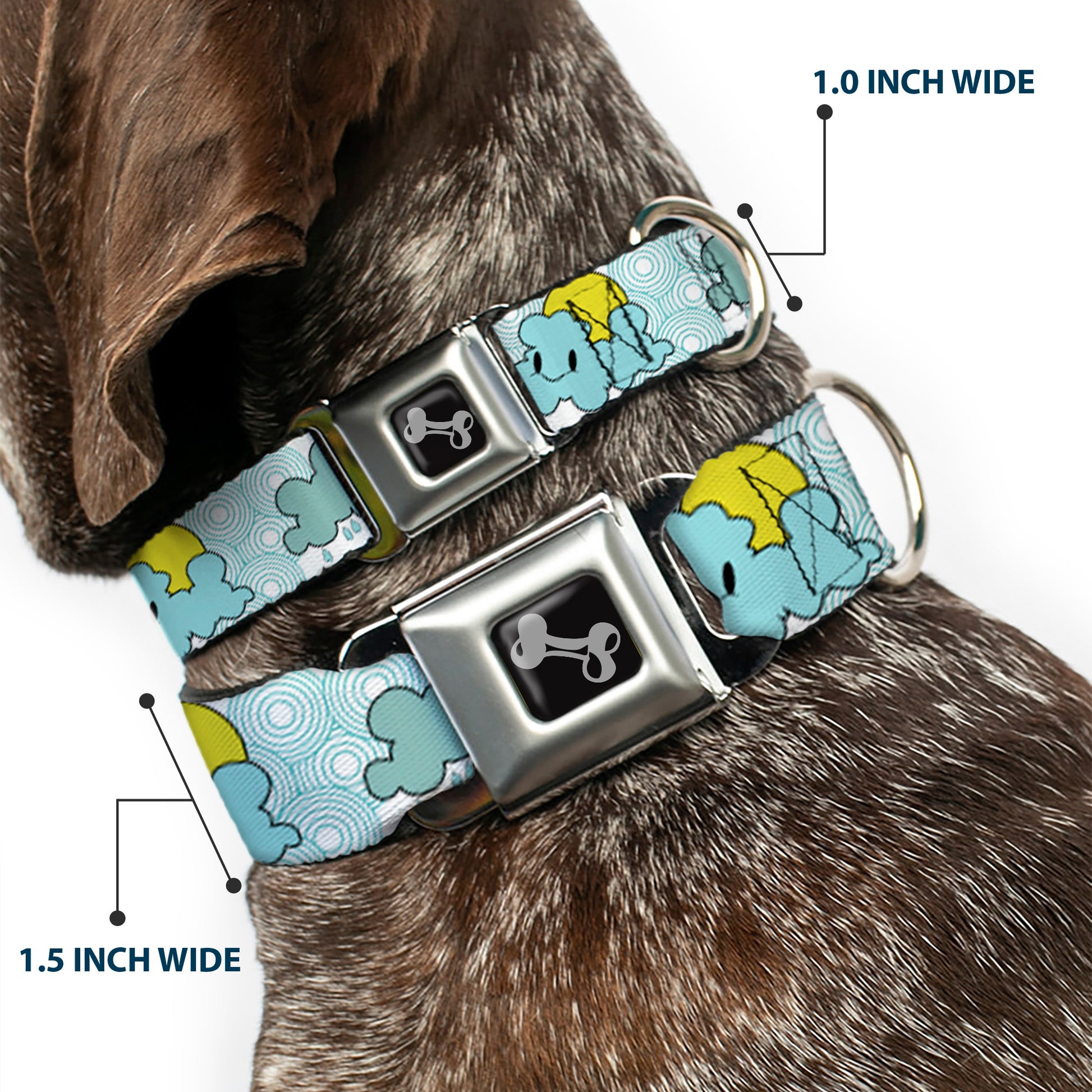 Dog Bone Seatbelt Buckle Collar - Cloudy Skies Rain Clouds White/Blues Seatbelt Buckle Collars Buckle-Down