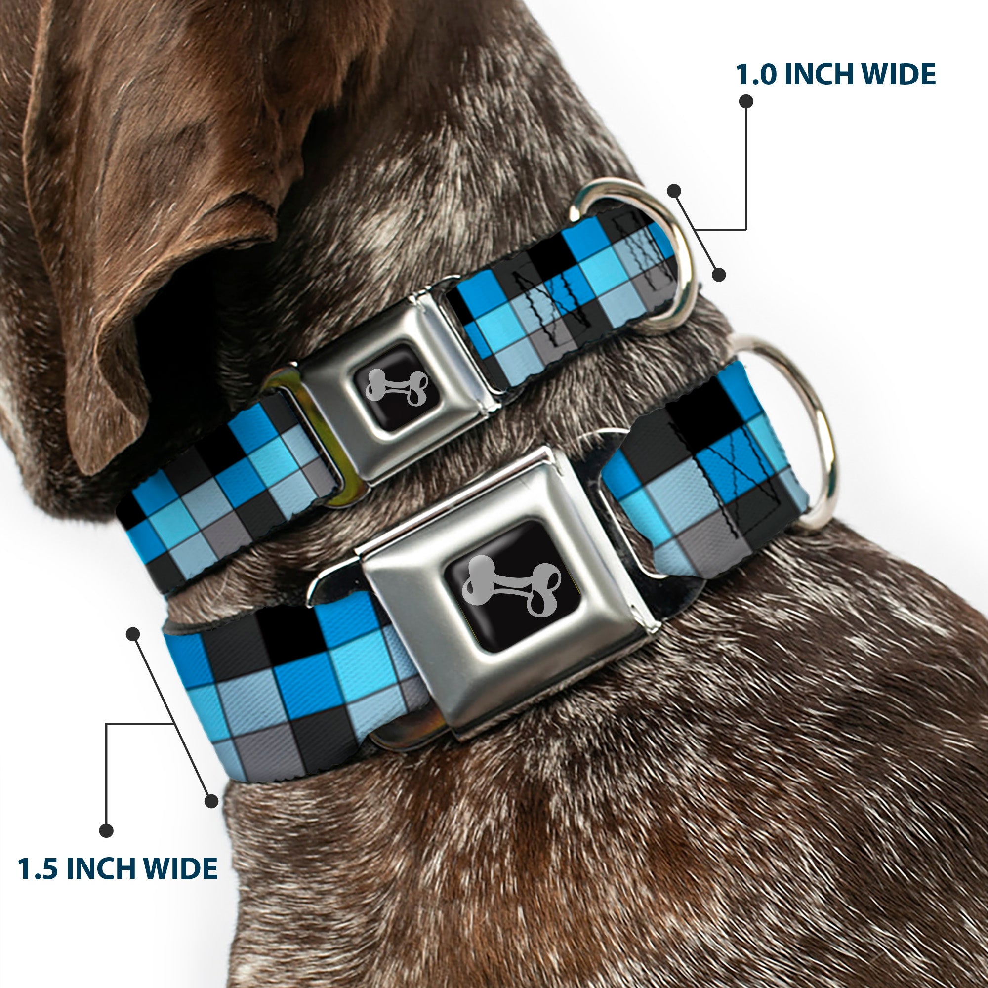 Dog Bone Seatbelt Buckle Collar - Checker Mosaic Blue Seatbelt Buckle Collars Buckle-Down