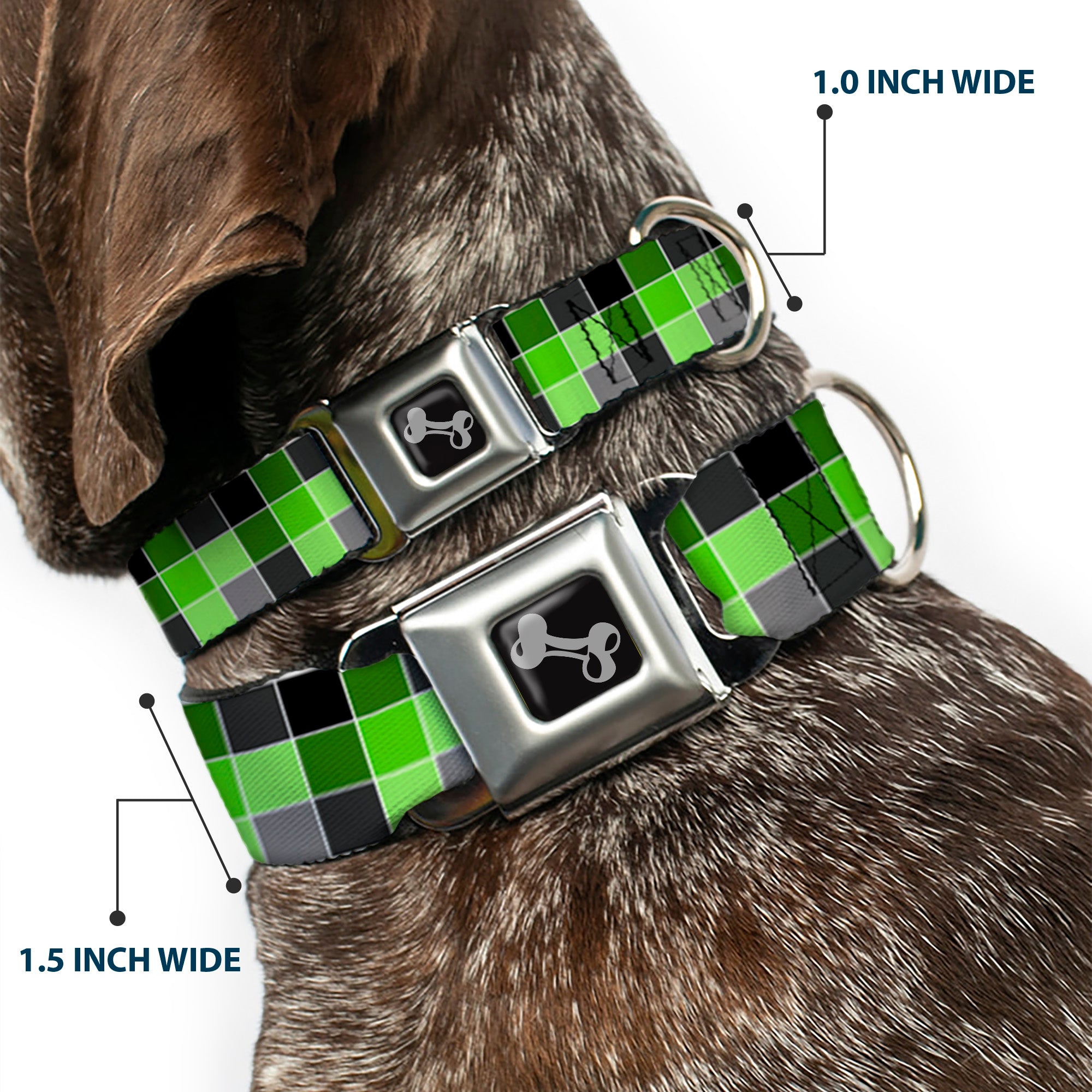 Dog Bone Seatbelt Buckle Collar - Checker Mosaic Green Seatbelt Buckle Collars Buckle-Down