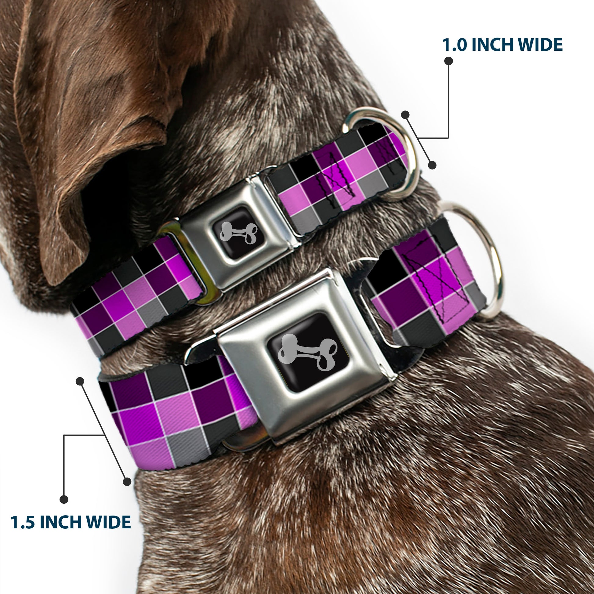 Dog Bone Seatbelt Buckle Collar - Checker Mosaic Purple Seatbelt Buckle Collars Buckle-Down