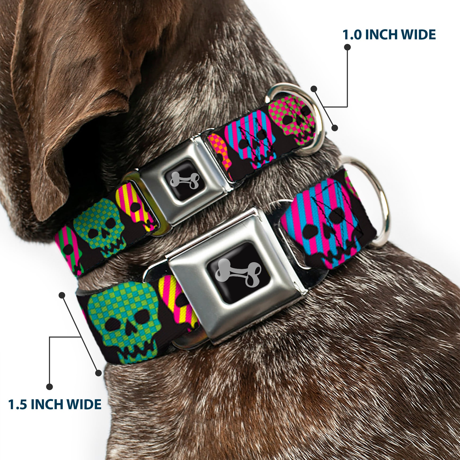 Dog Bone Seatbelt Buckle Collar - Checker & Stripe Skulls Black/Multi Neon Seatbelt Buckle Collars Buckle-Down