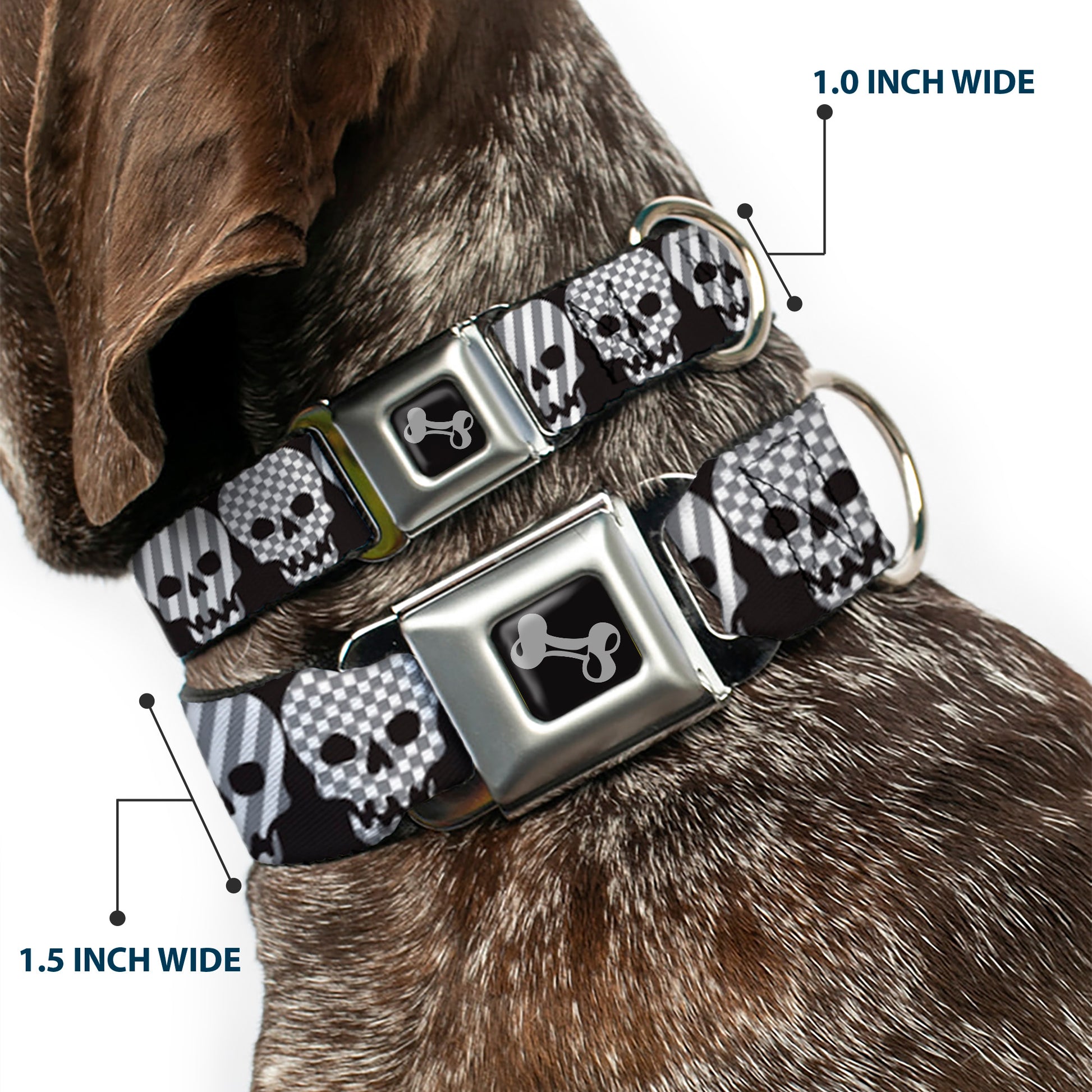 Dog Bone Seatbelt Buckle Collar - Checker & Stripe Skulls Black/White/Gray Seatbelt Buckle Collars Buckle-Down