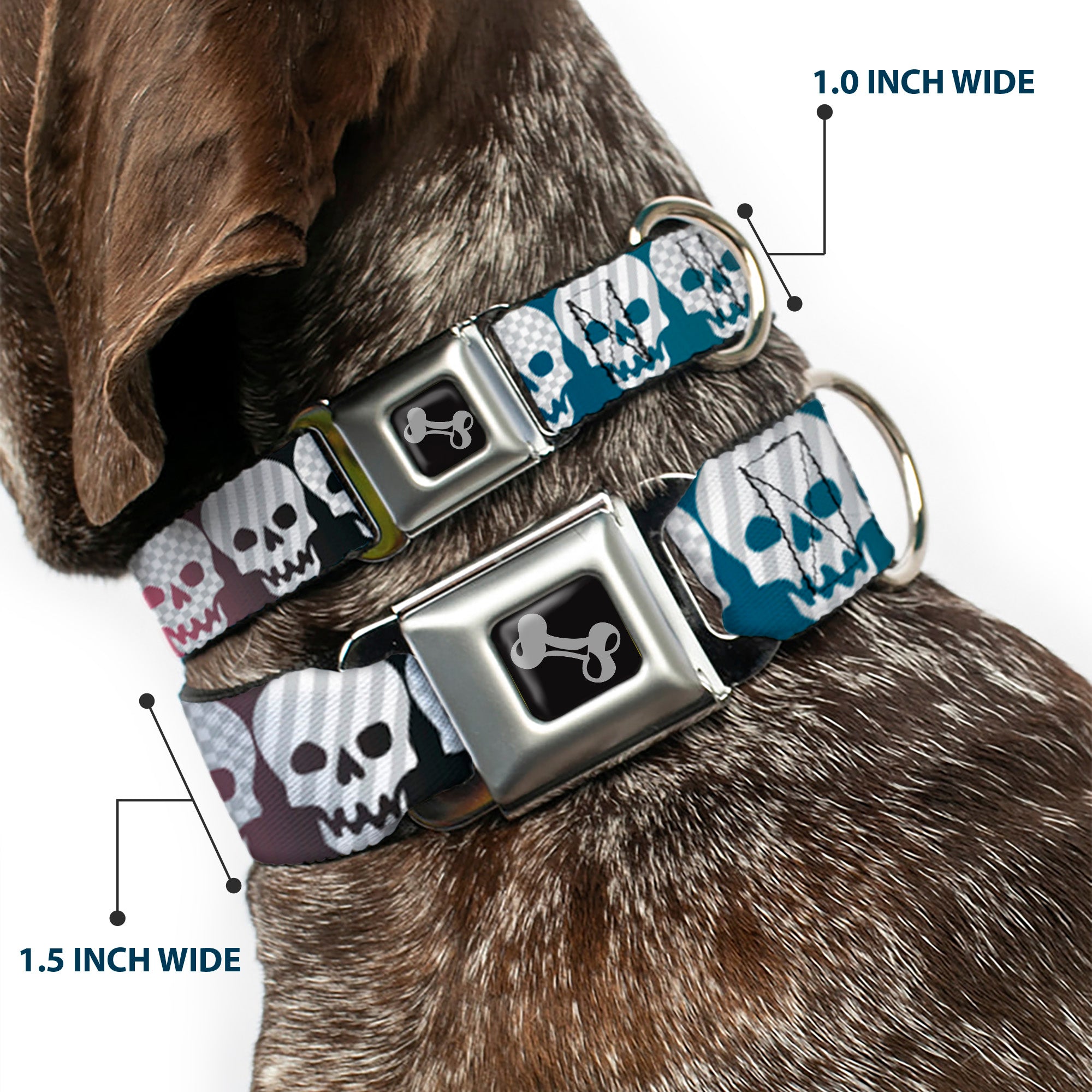 Dog Bone Seatbelt Buckle Collar - Checker & Stripe Skulls Gradient Blue/Fuchsia Seatbelt Buckle Collars Buckle-Down