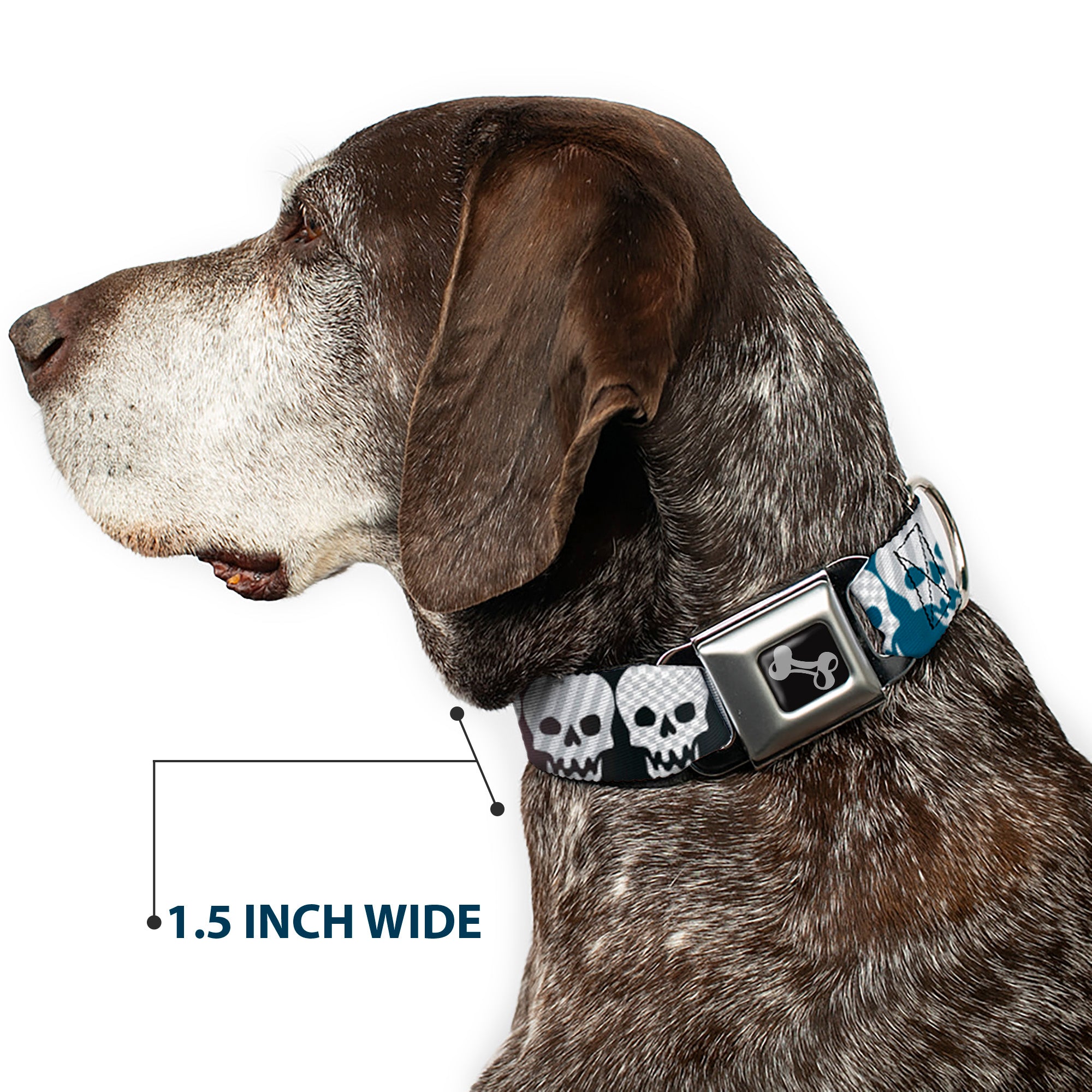 Dog Bone Seatbelt Buckle Collar - Checker & Stripe Skulls Gradient Blue/Fuchsia Seatbelt Buckle Collars Buckle-Down