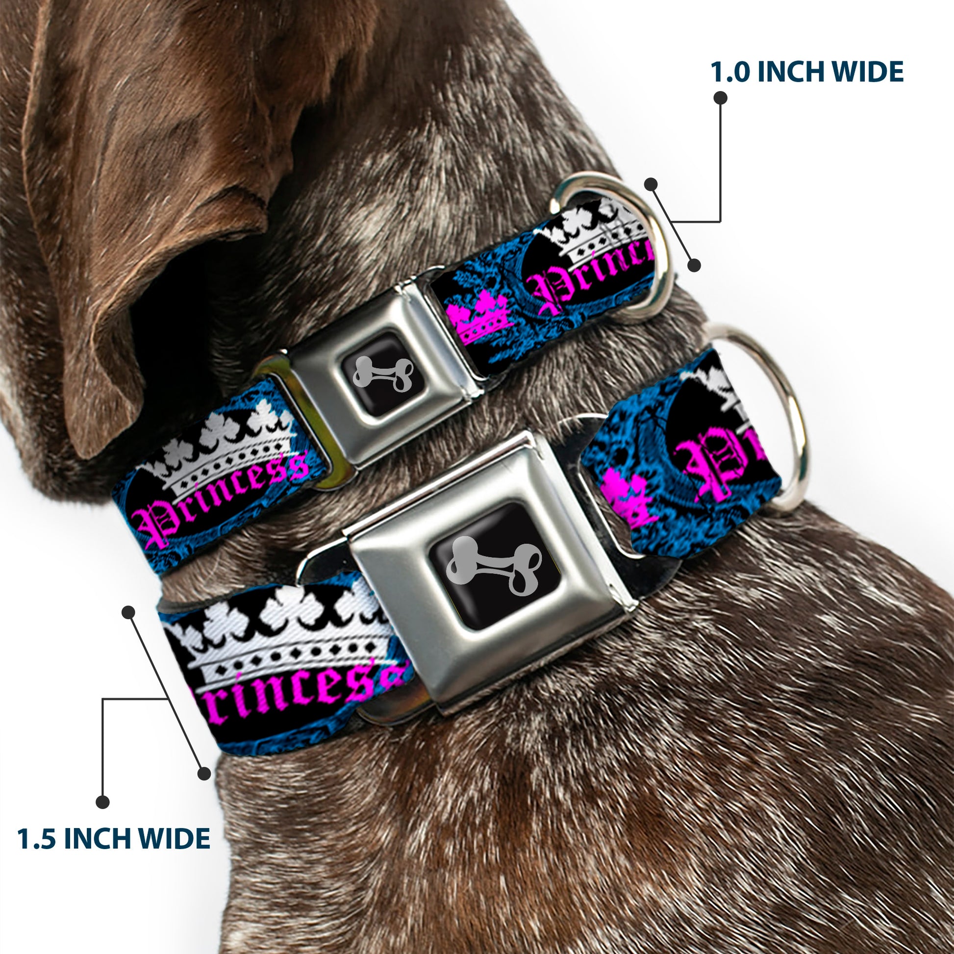 Dog Bone Seatbelt Buckle Collar - Crown Princess Oval Black/Turquoise Seatbelt Buckle Collars Buckle-Down