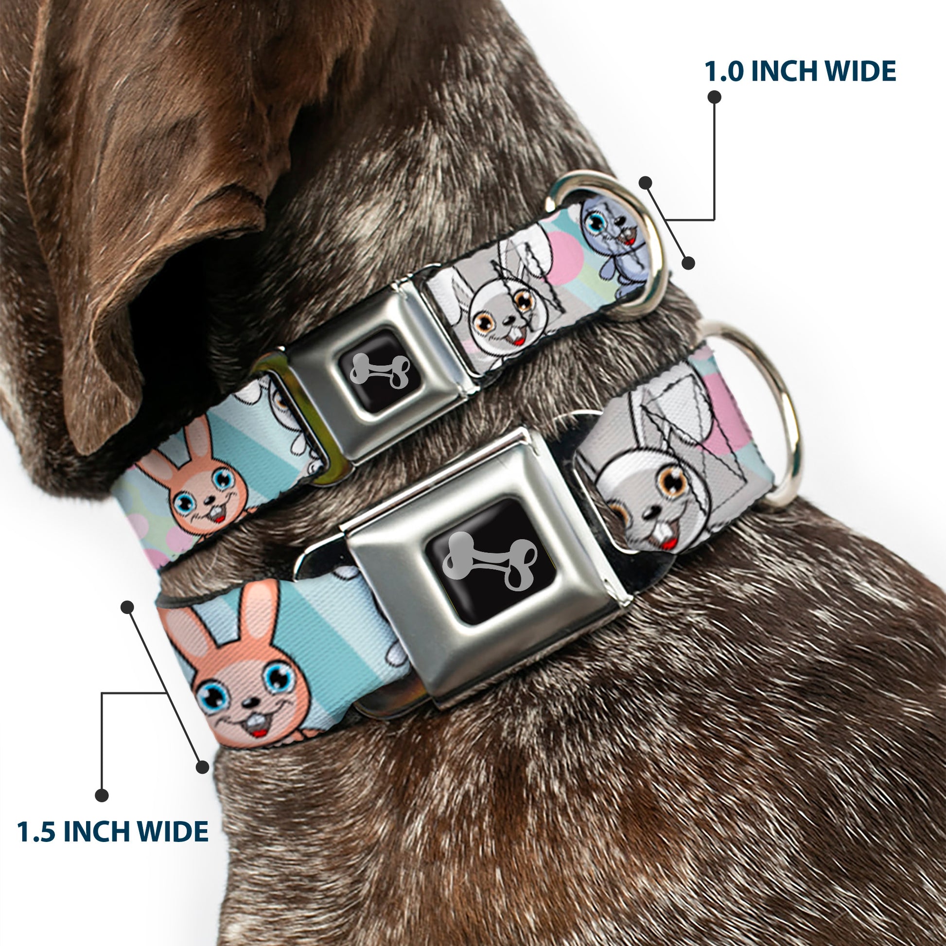 Dog Bone Seatbelt Buckle Collar - Cute Bunnies Multi Pastel Seatbelt Buckle Collars Buckle-Down